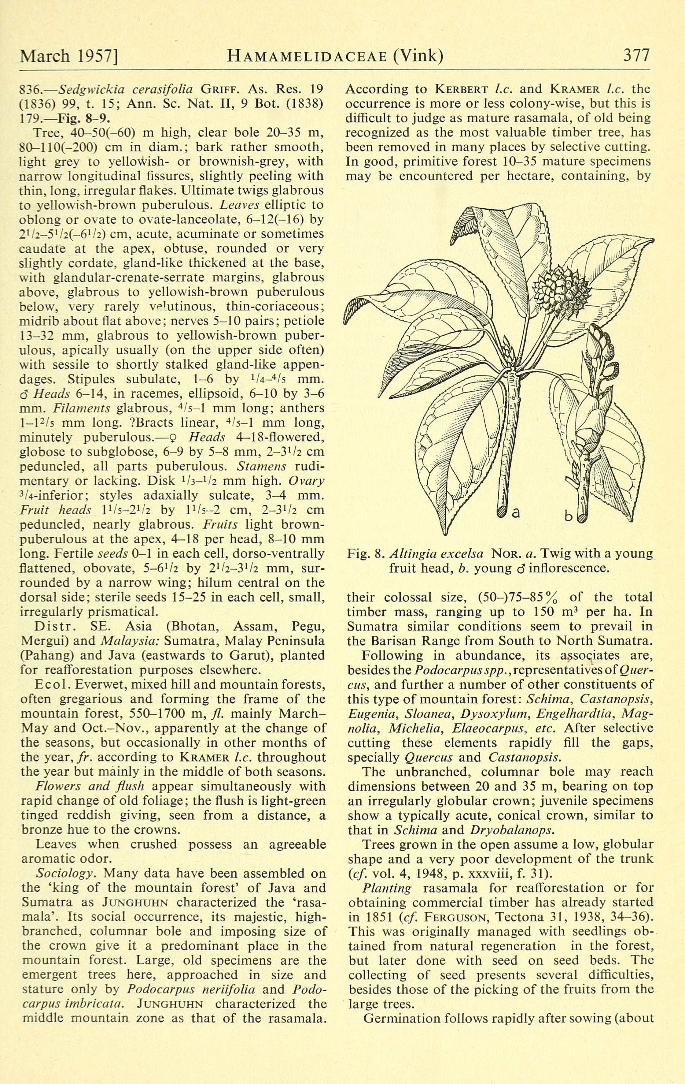 no full size  illustration available (3a)