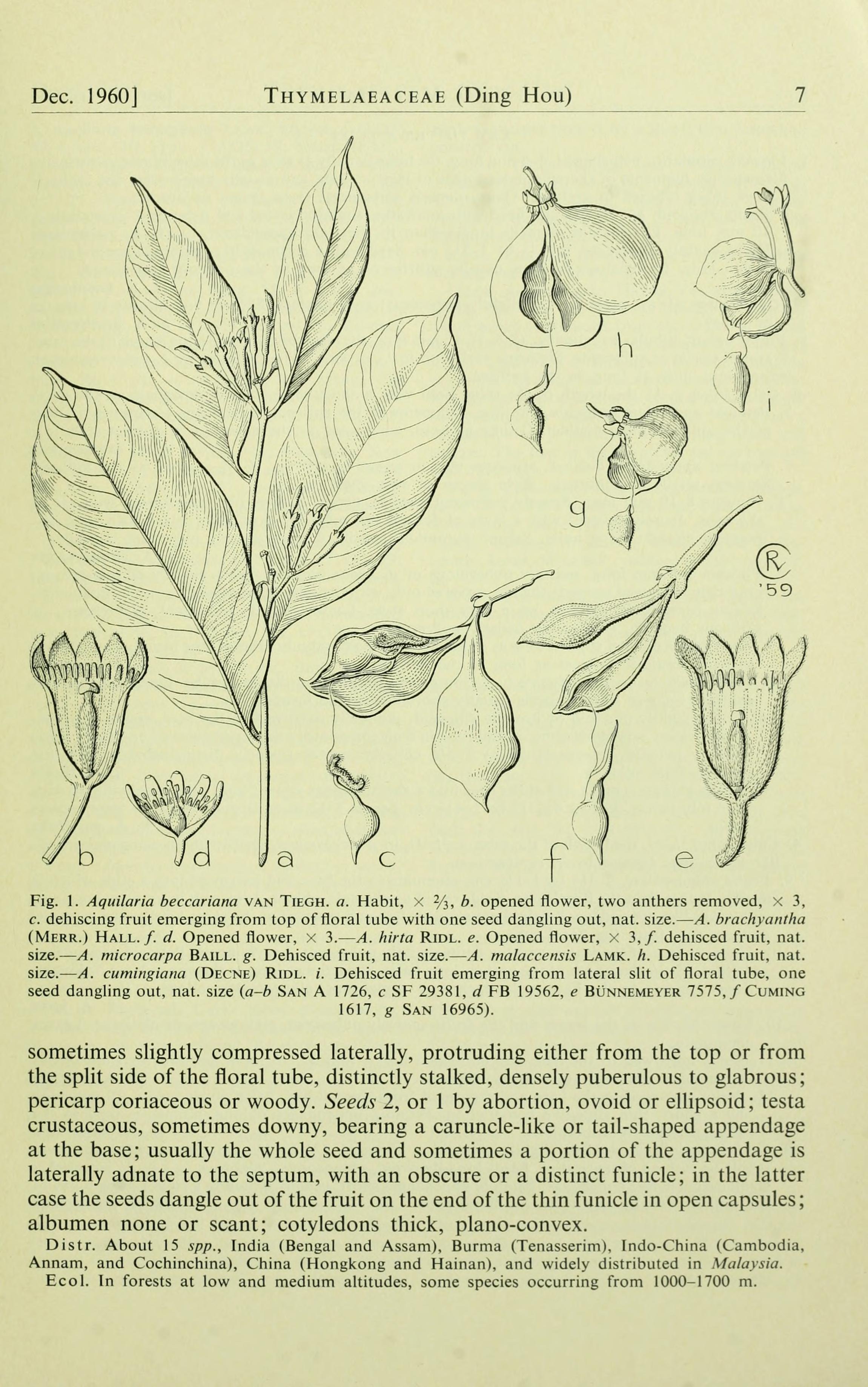 no full size  illustration available (3a)