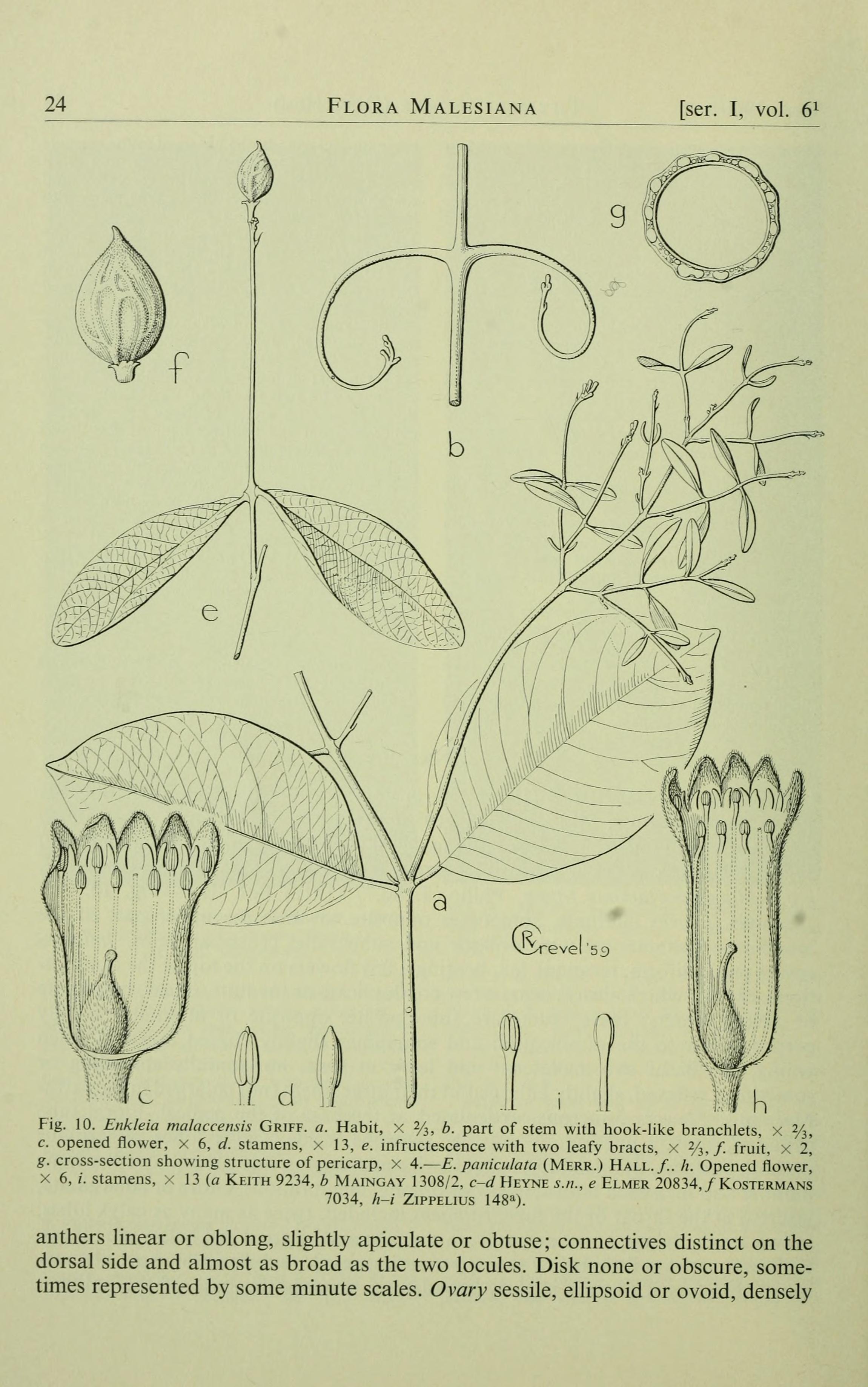 no full size  illustration available (3a)