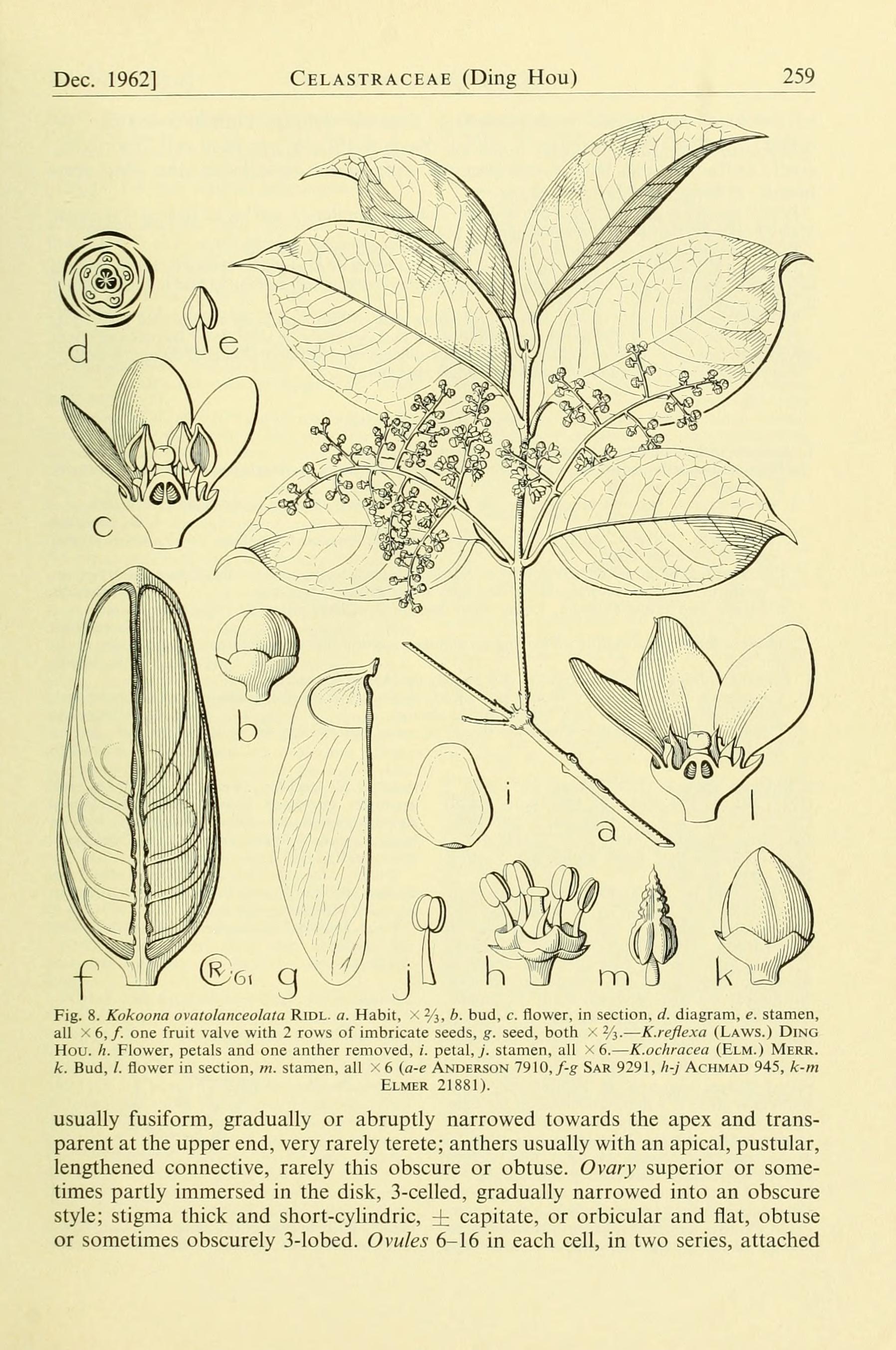 no full size  illustration available (3a)