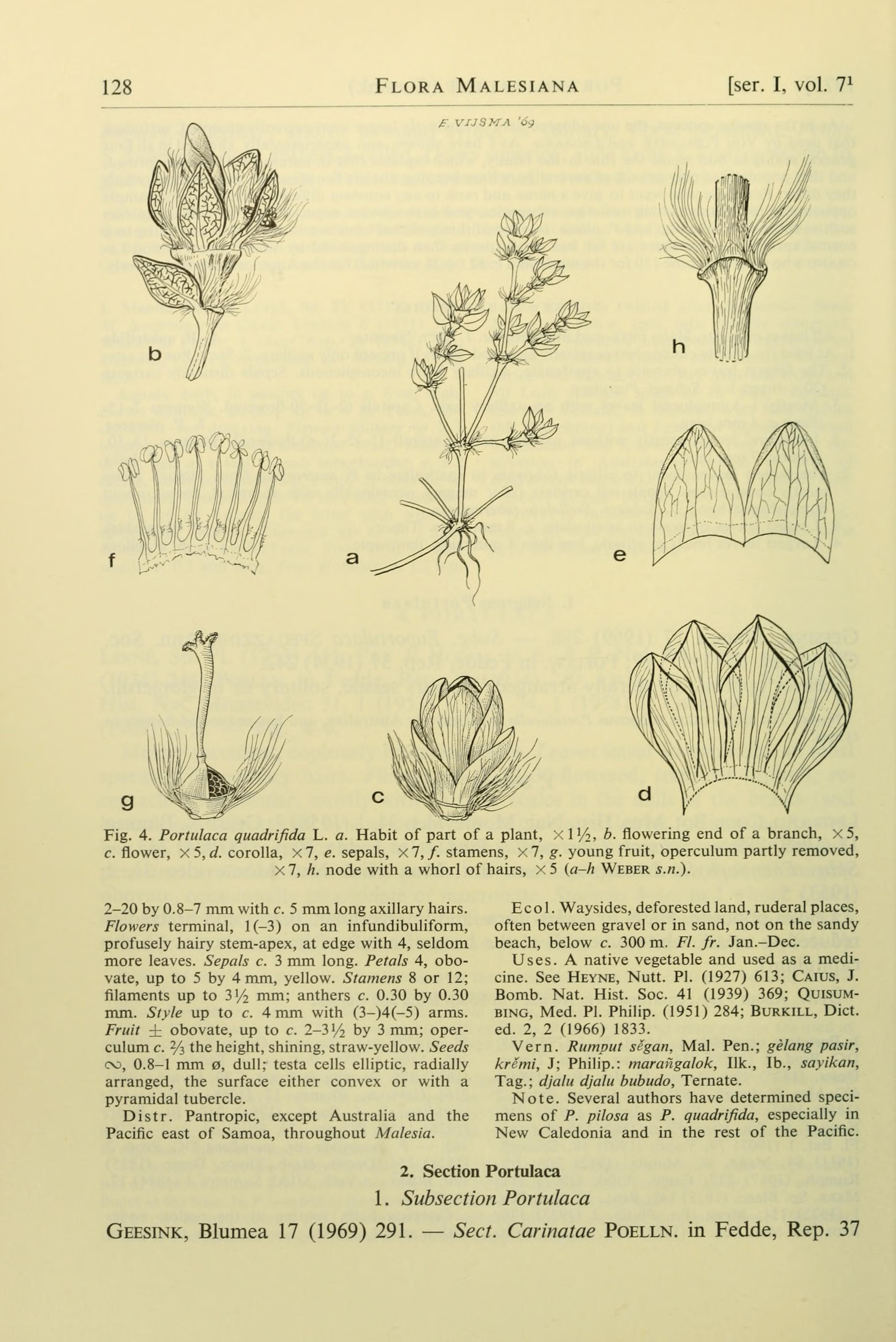 no full size  illustration available (3a)