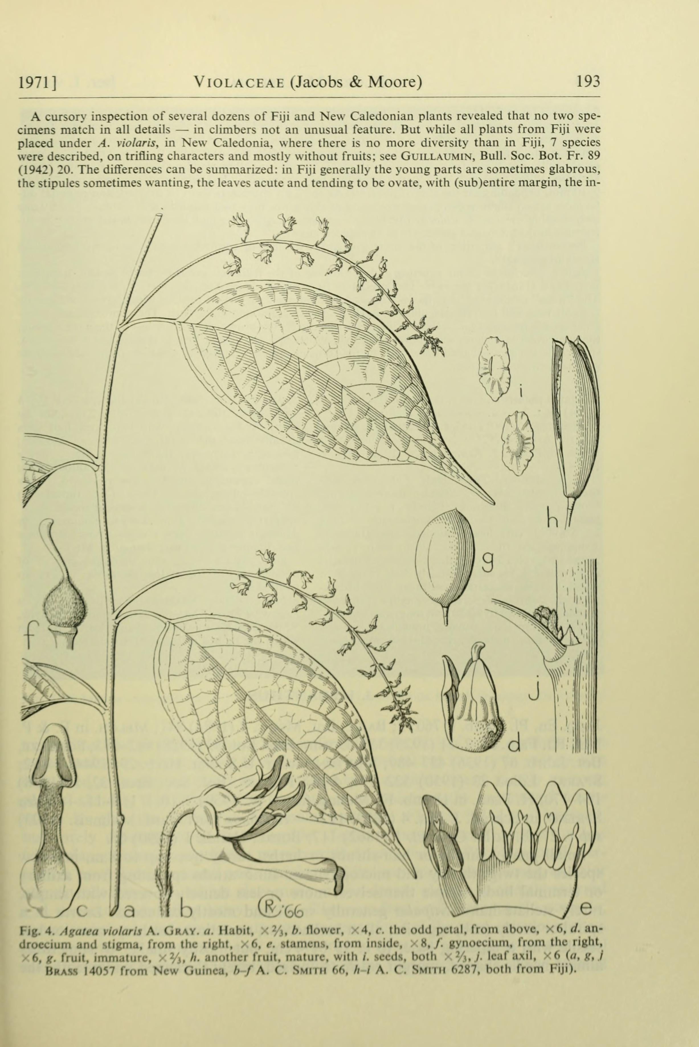 no full size  illustration available (3a)