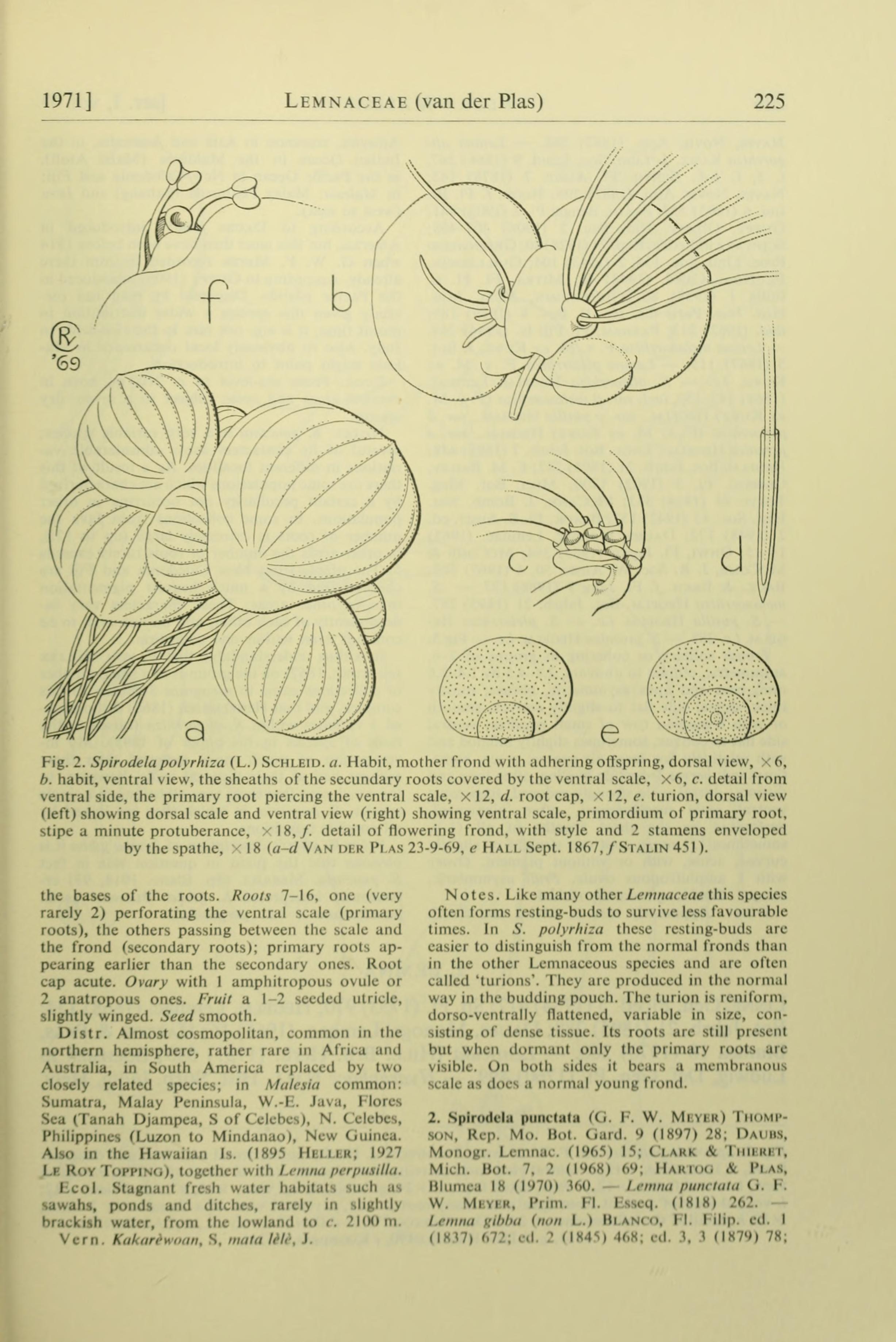 no full size  illustration available (3a)