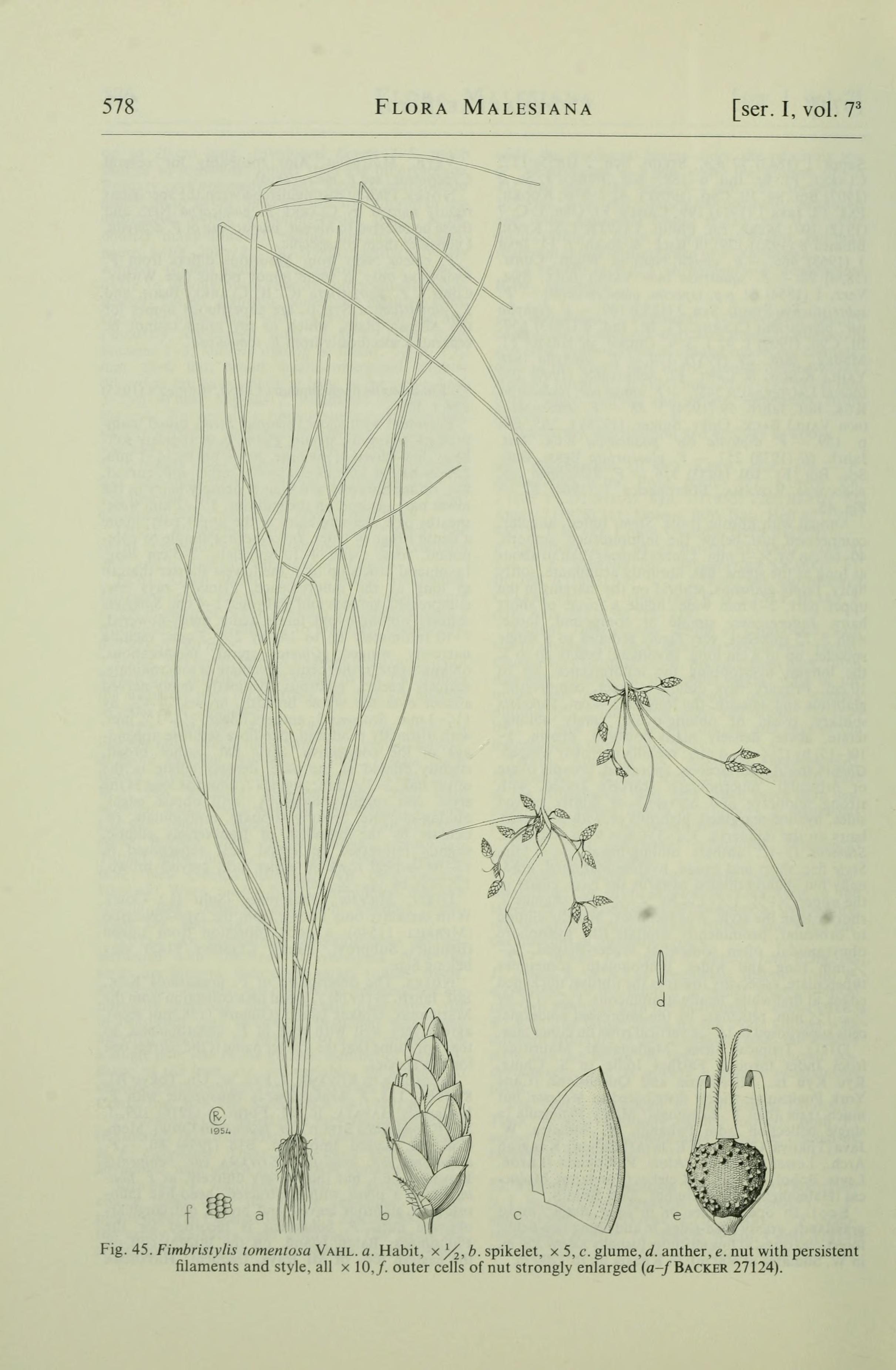 no full size  illustration available (3a)