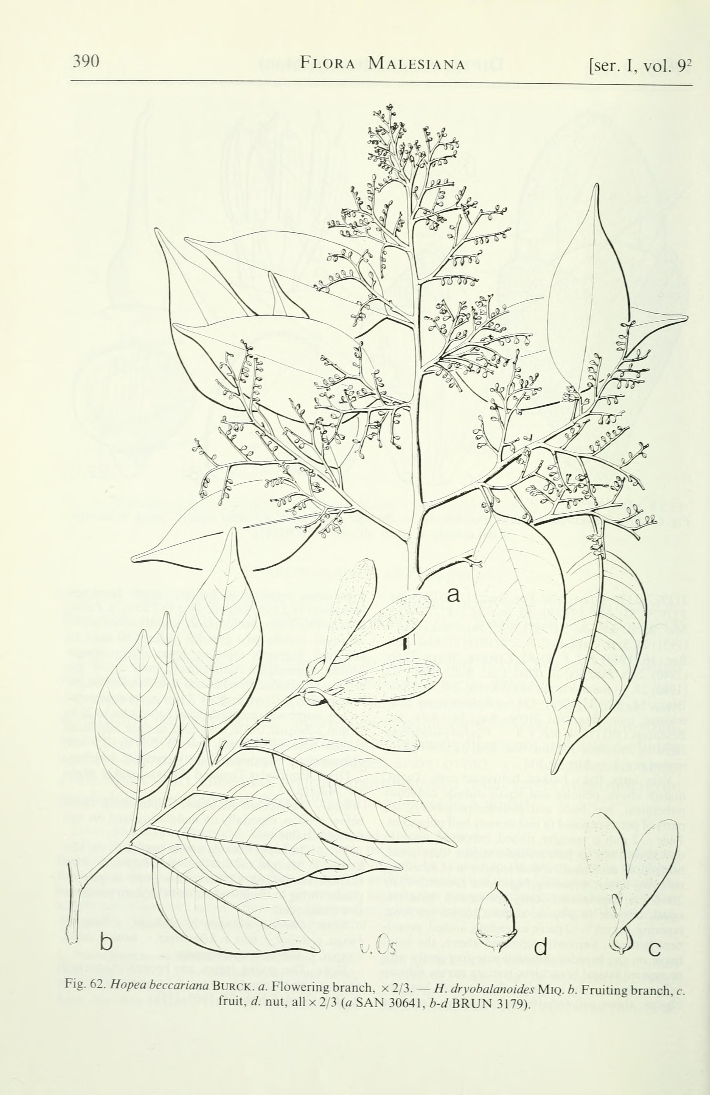 no full size  illustration available (3a)