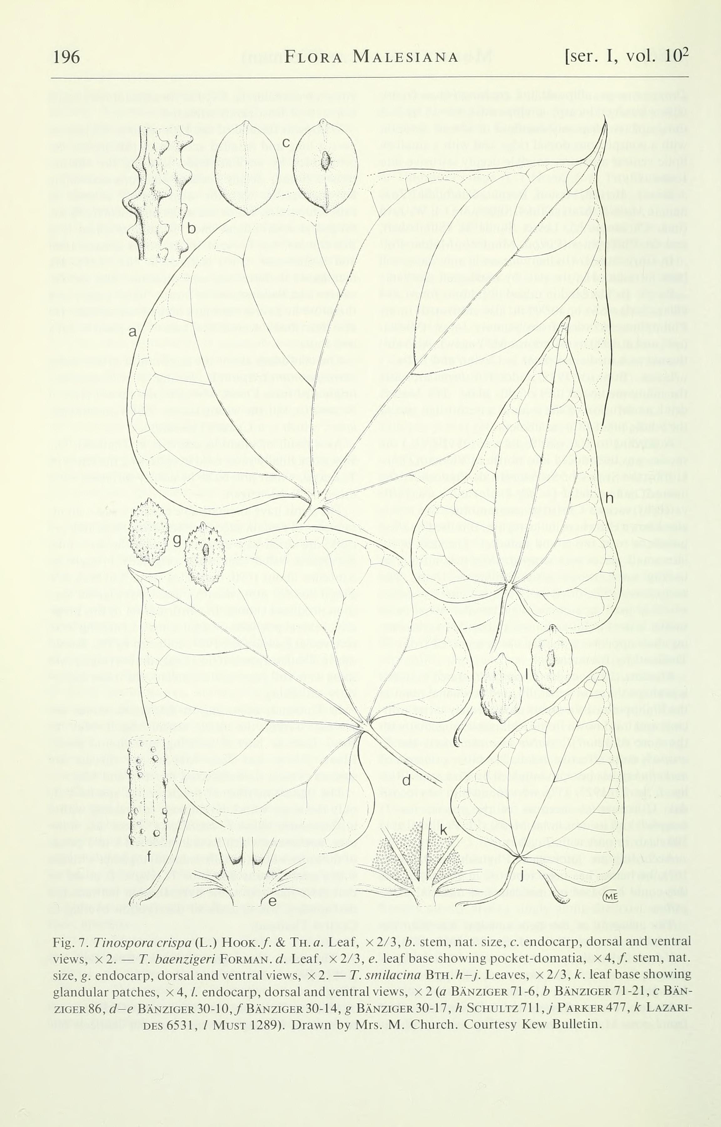 no full size  illustration available (3a)