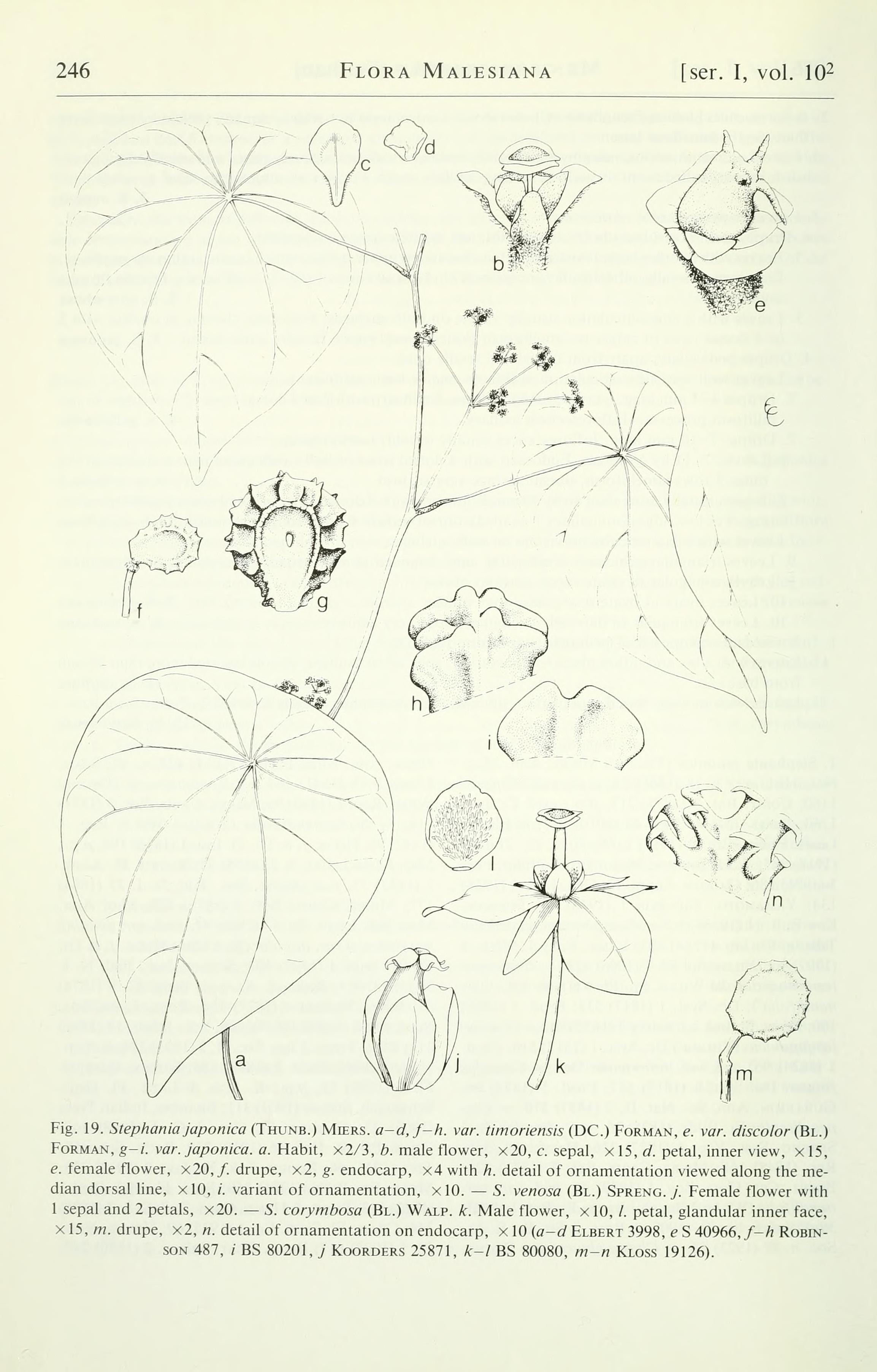 no full size  illustration available (3a)