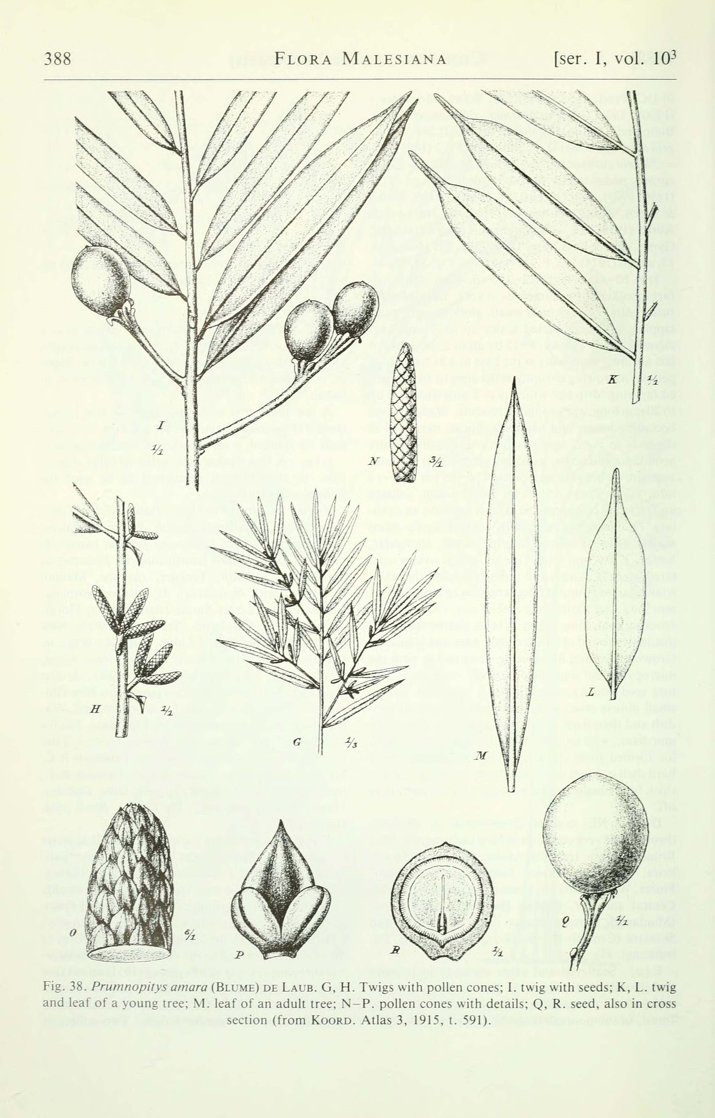 no full size  illustration available (3a)