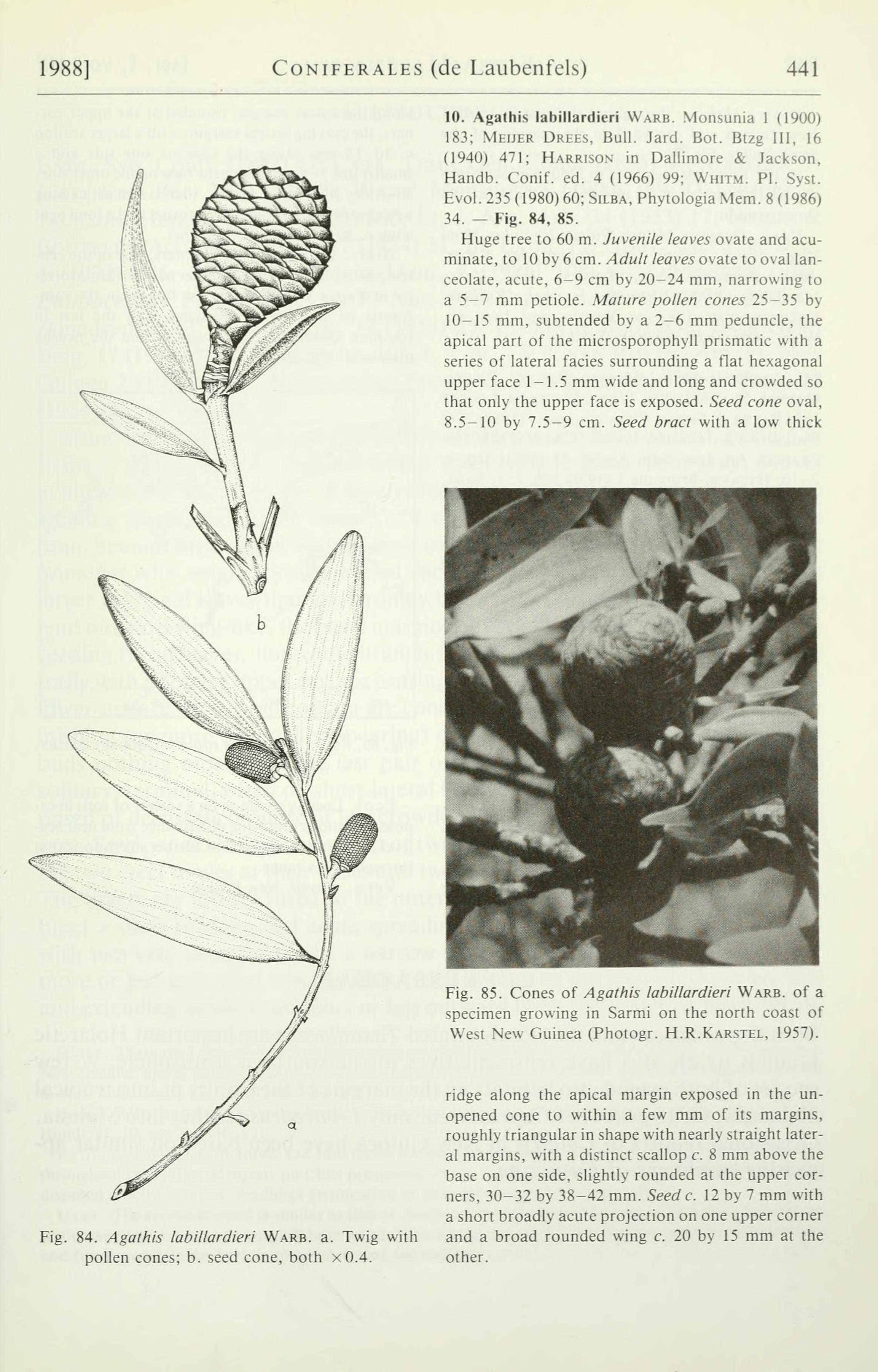 no full size  illustration available (3a)