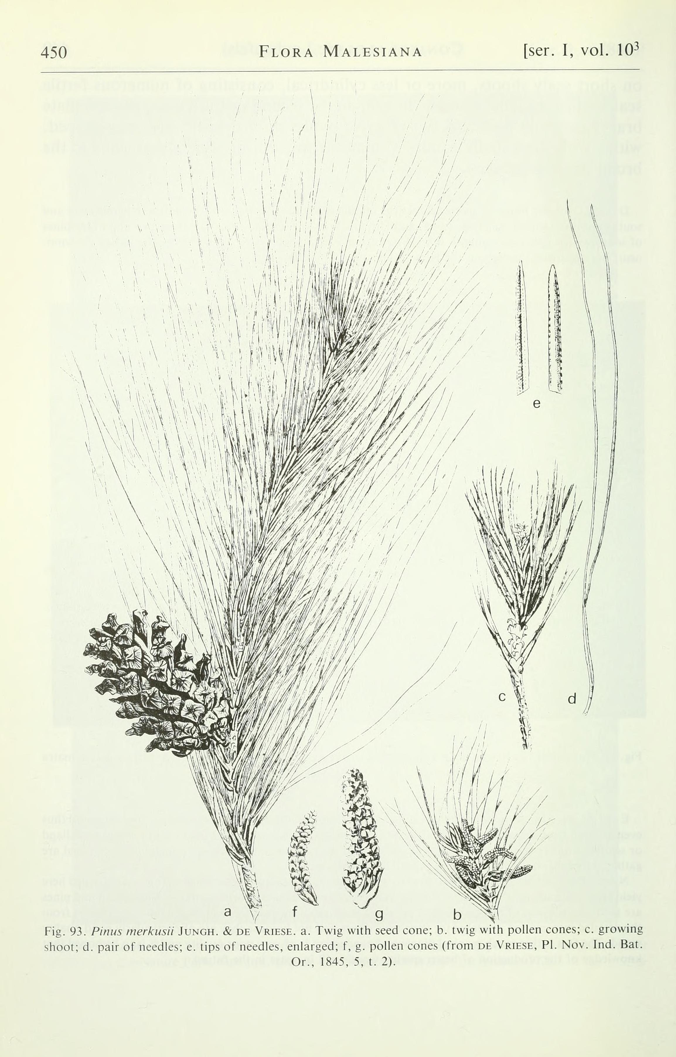 no full size  illustration available (3a)