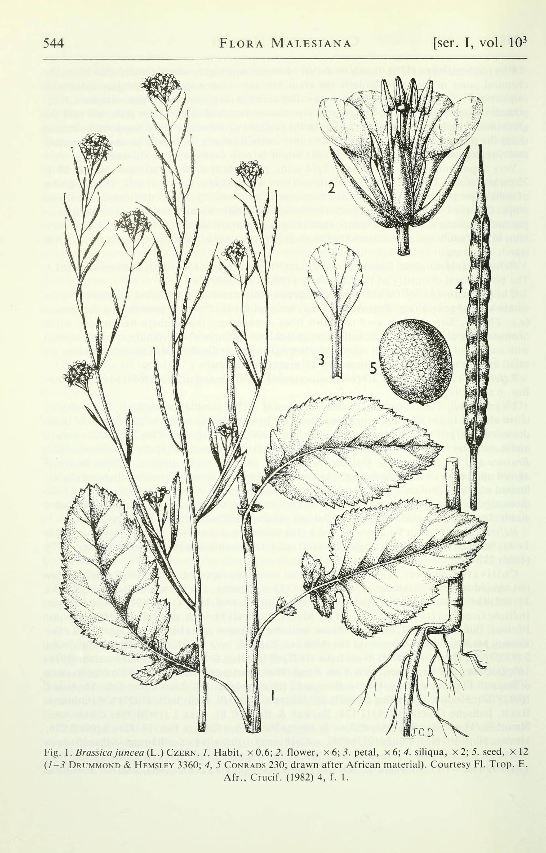 no full size  illustration available (3a)