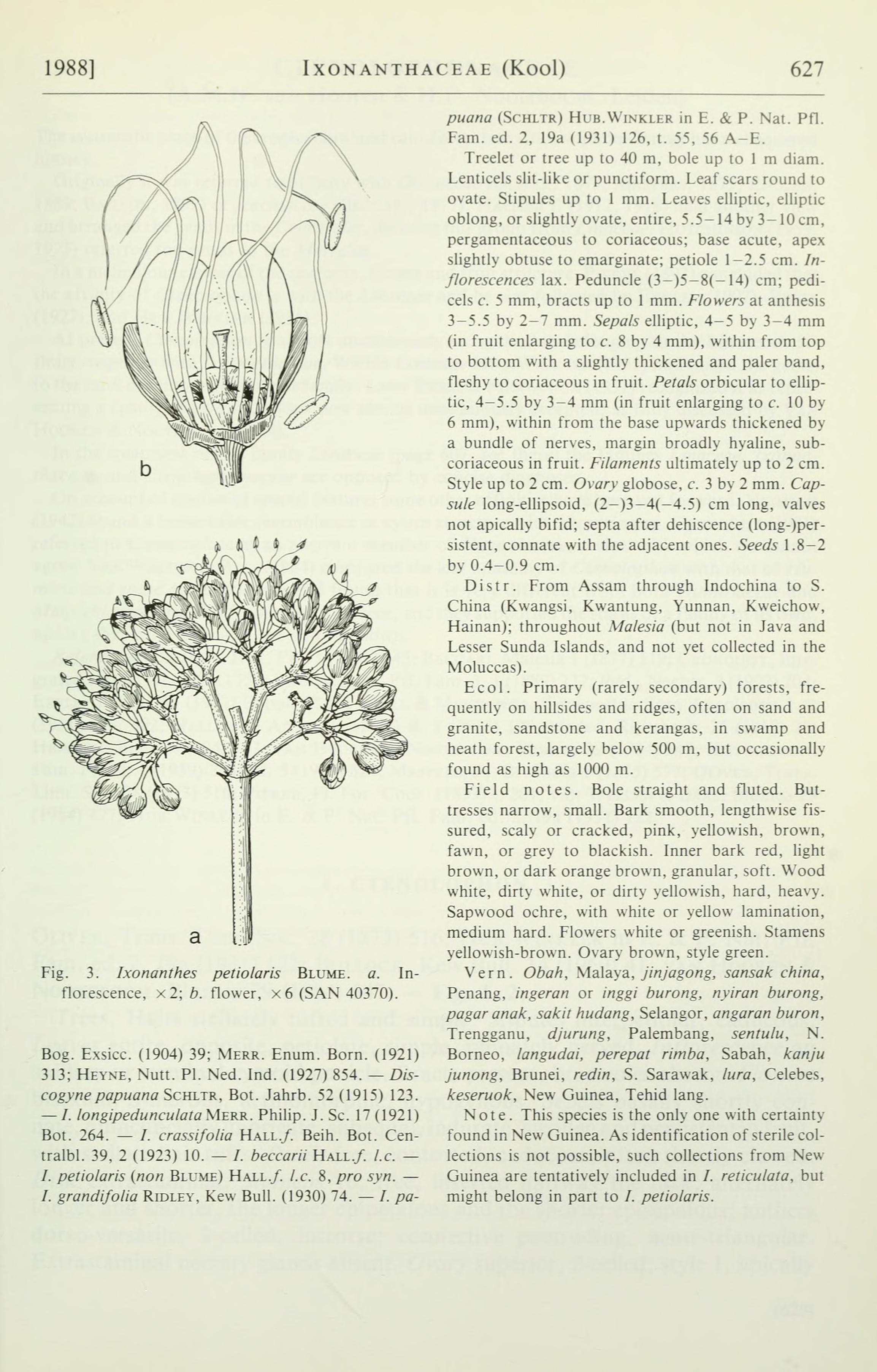 no full size  illustration available (3a)