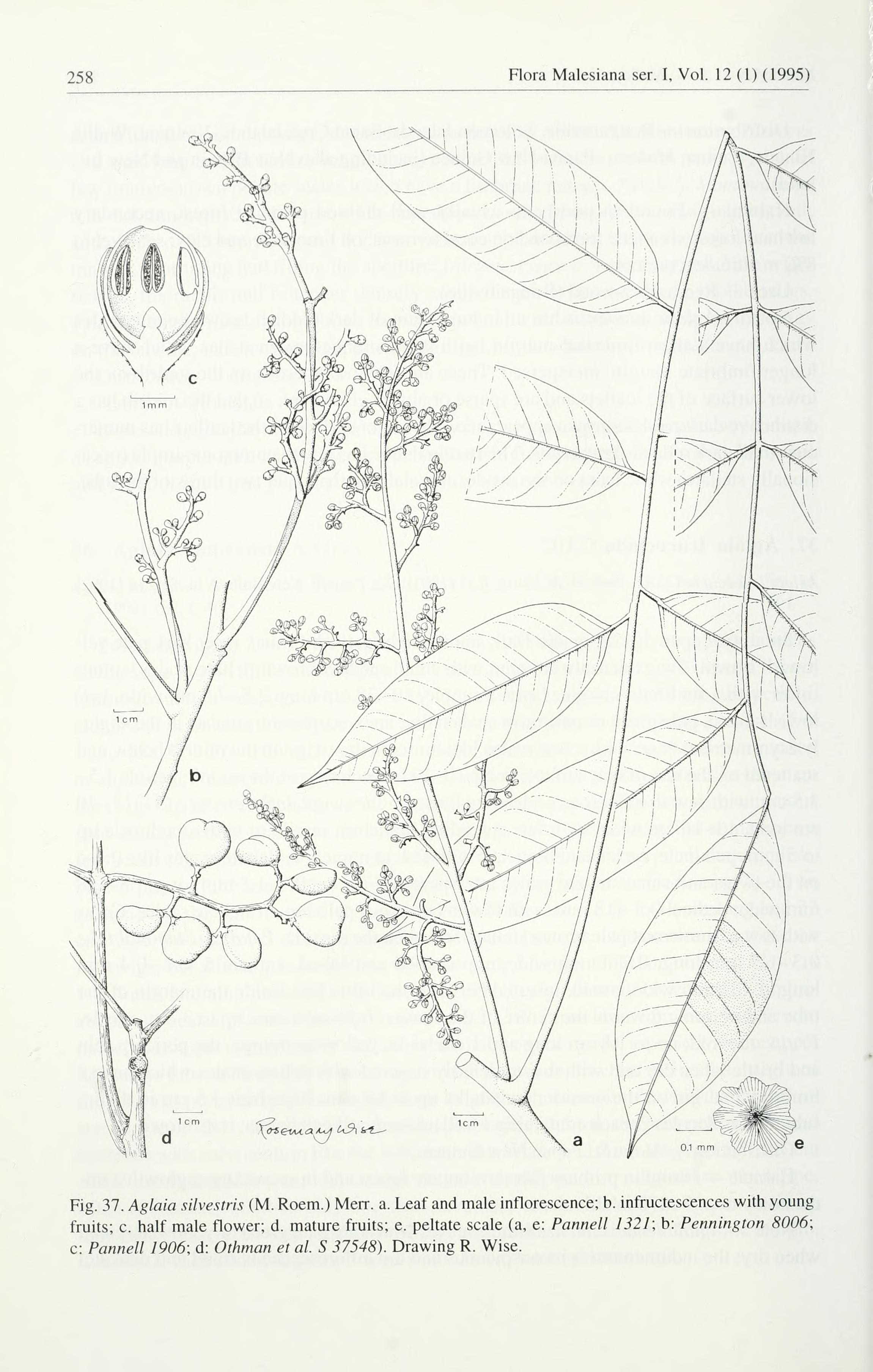 no full size  illustration available (3a)