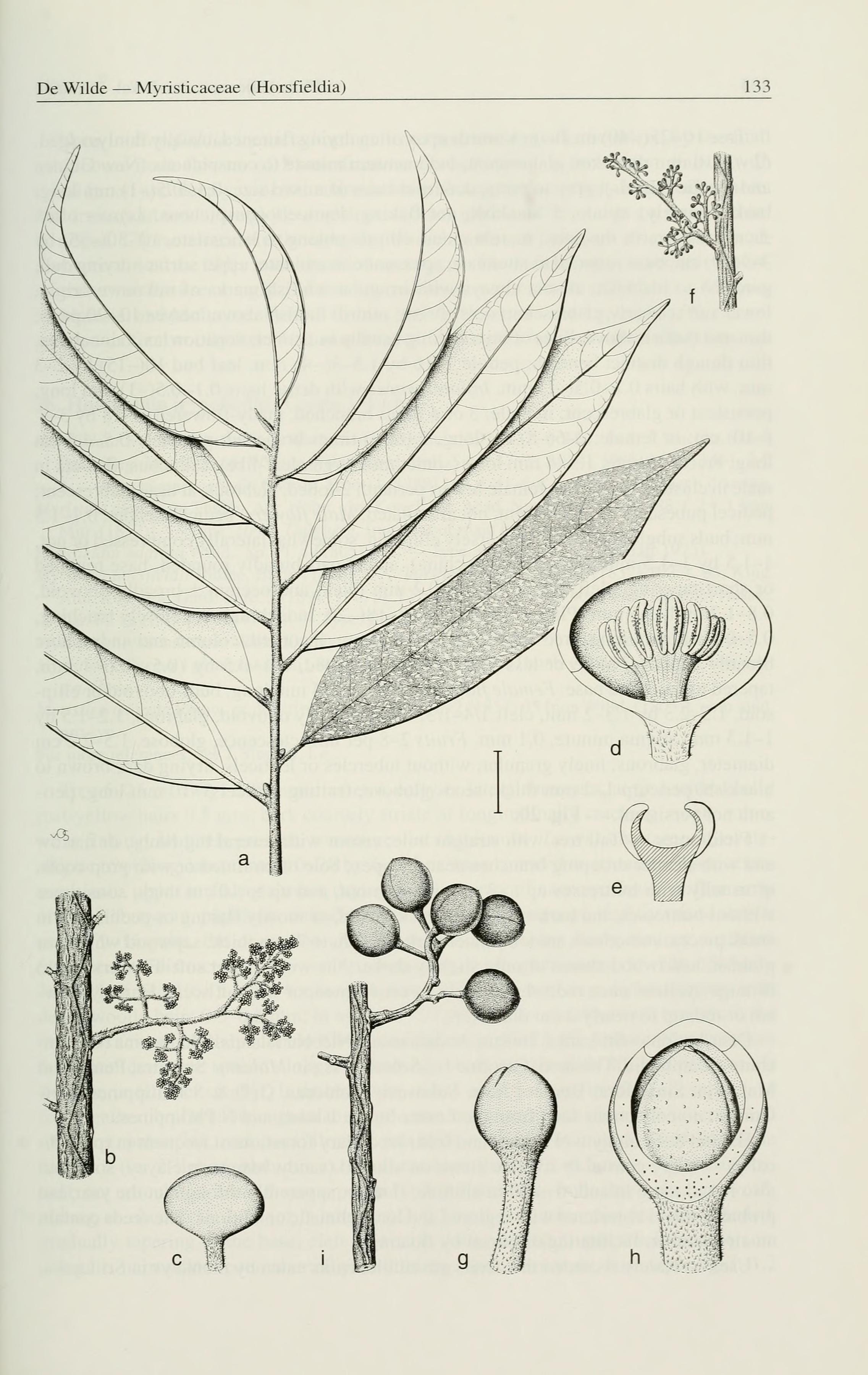 no full size  illustration available (3a)