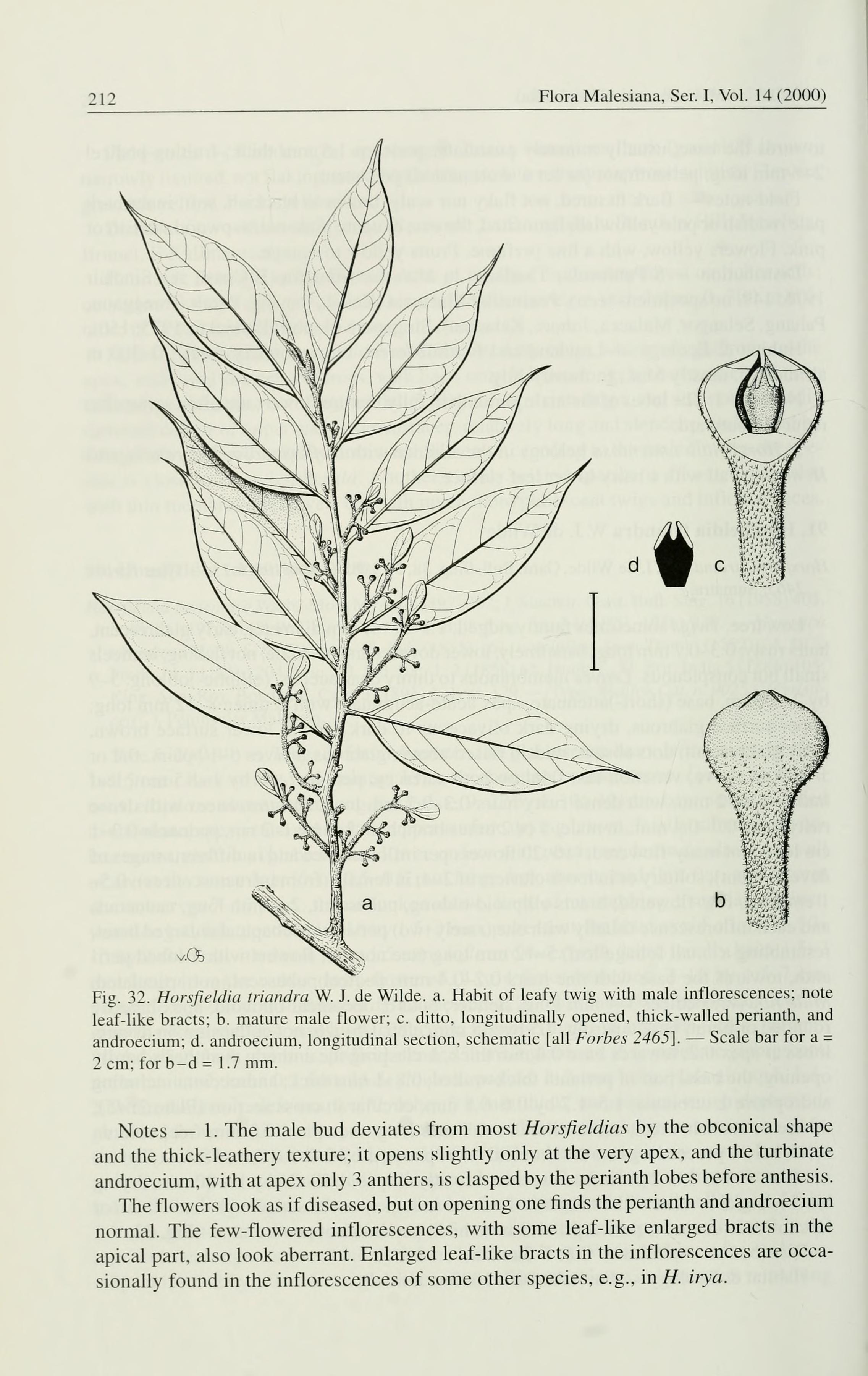 no full size  illustration available (3a)