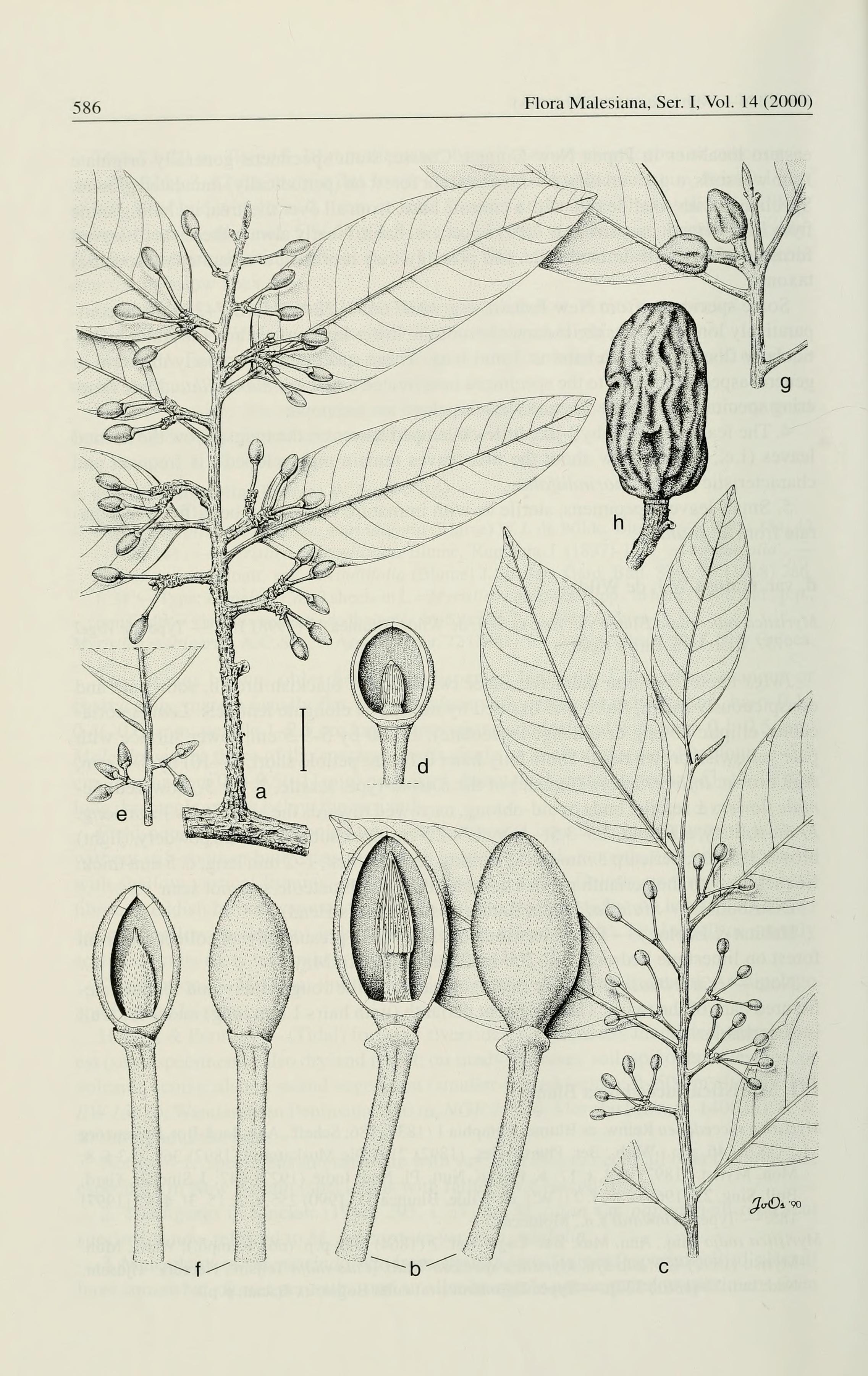 no full size  illustration available (3a)