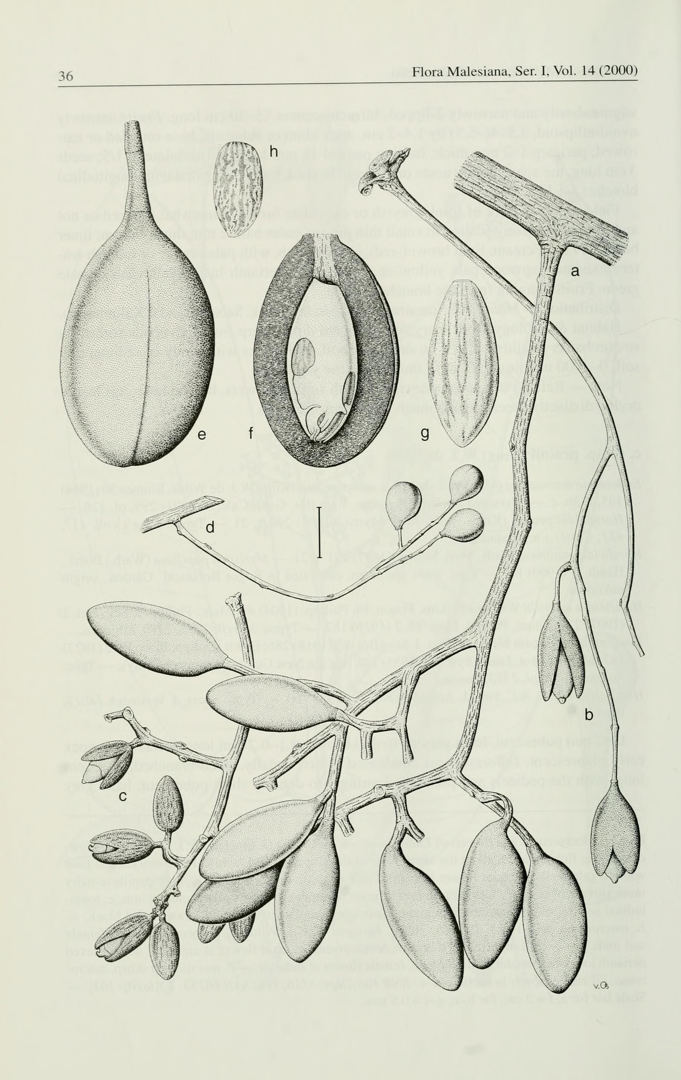 no full size  illustration available (3a)