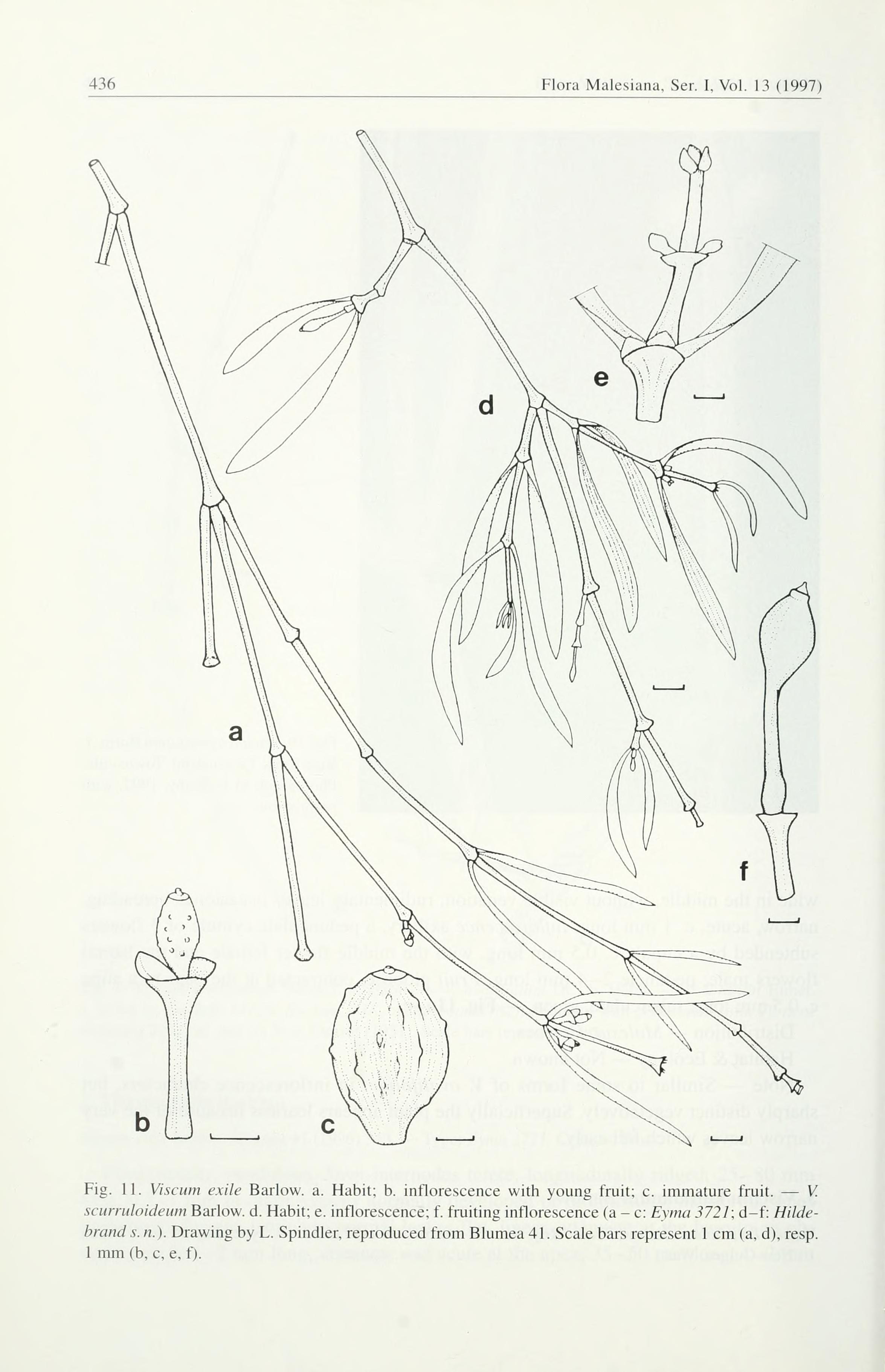 no full size  illustration available (3a)