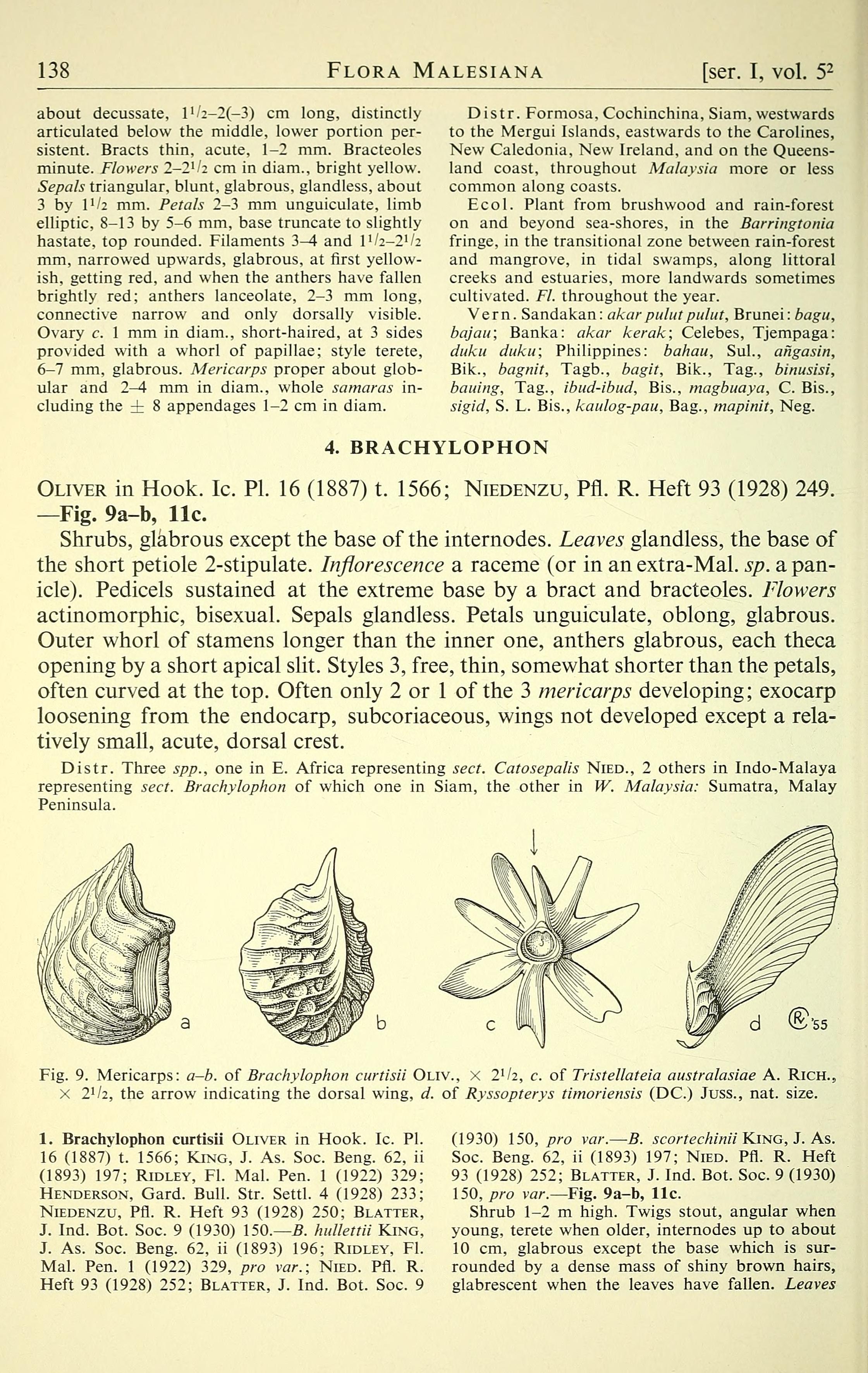 no full size  illustration available (3a)