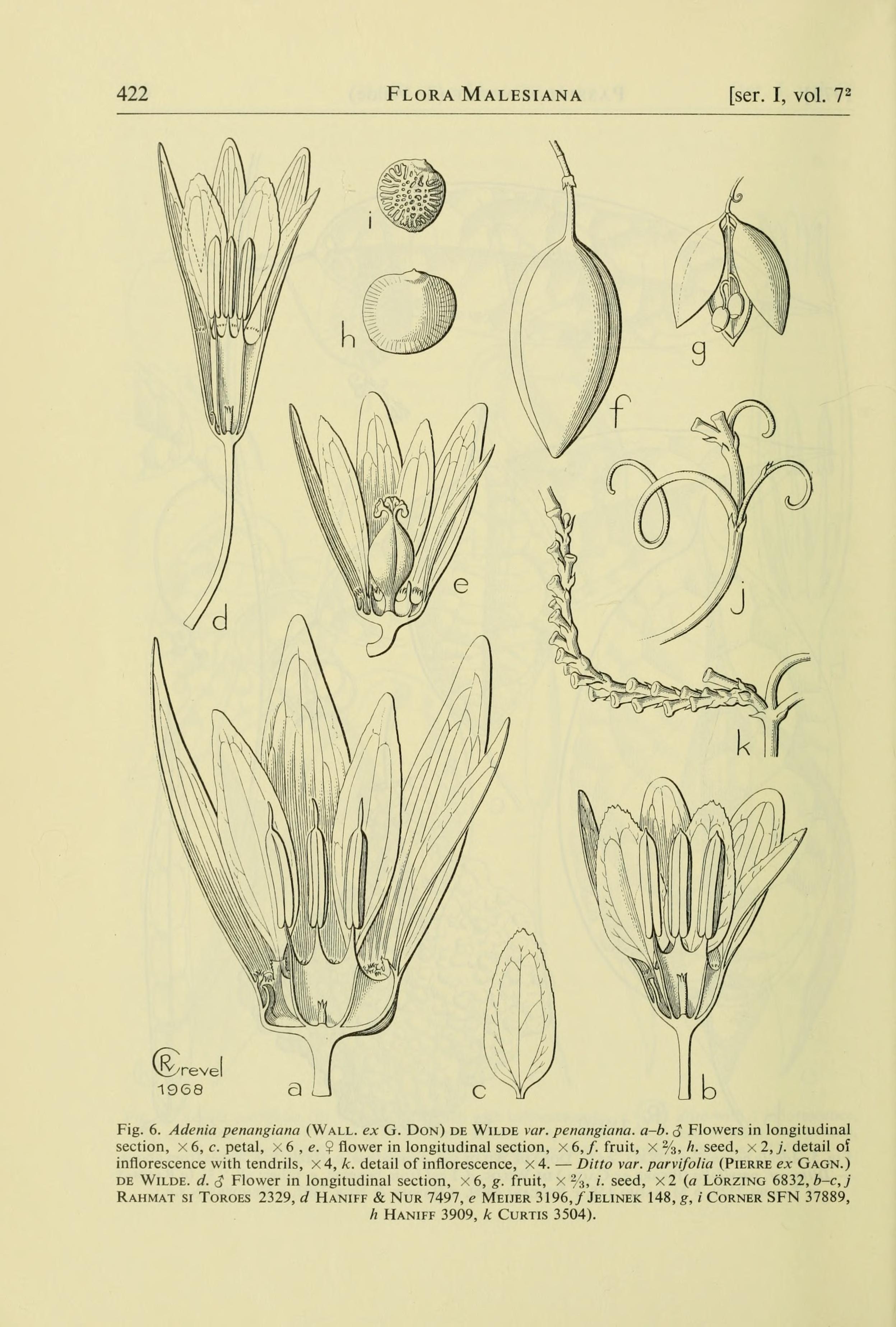 no full size  illustration available (3a)