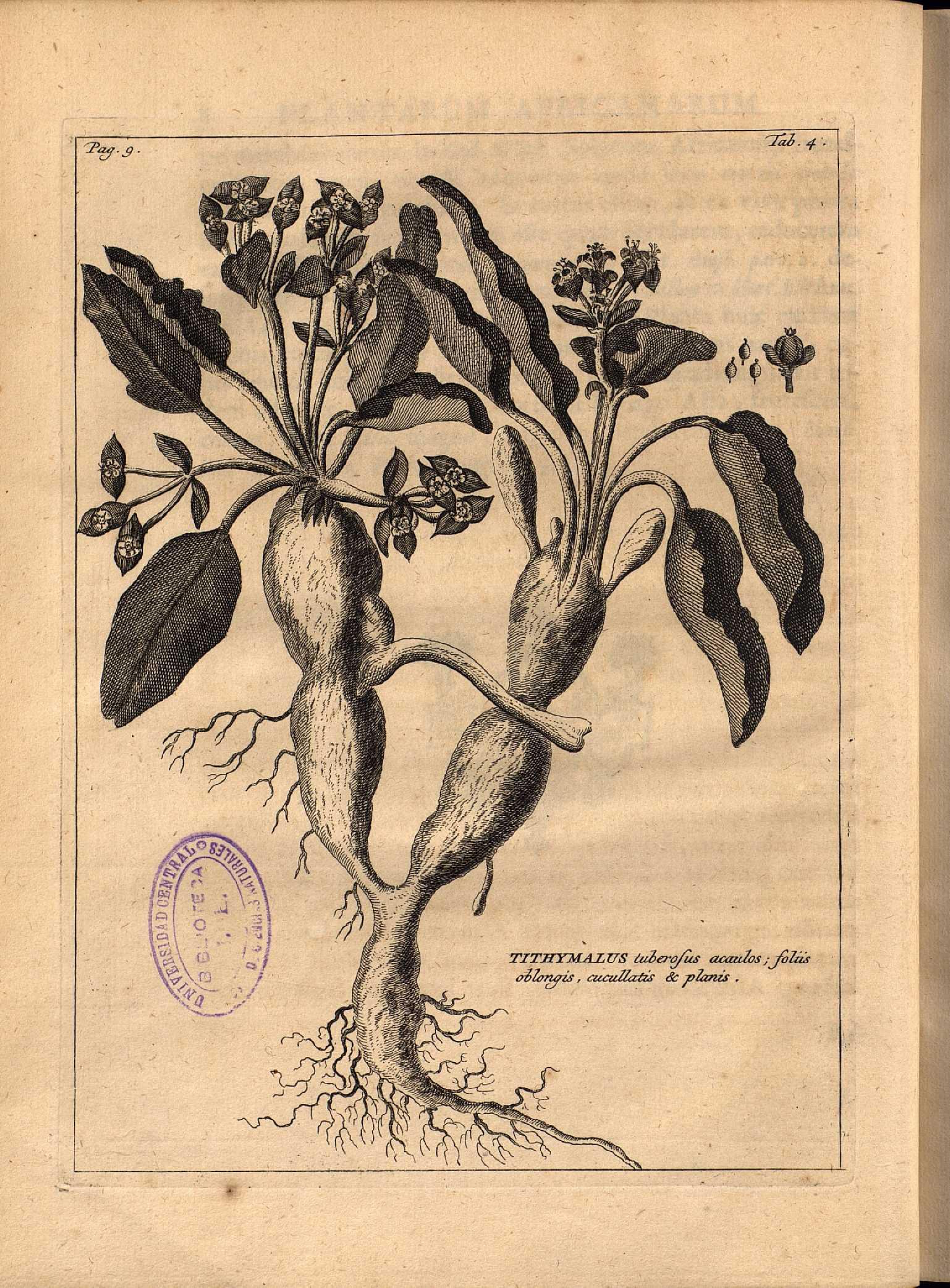 no full size  illustration available (3a)