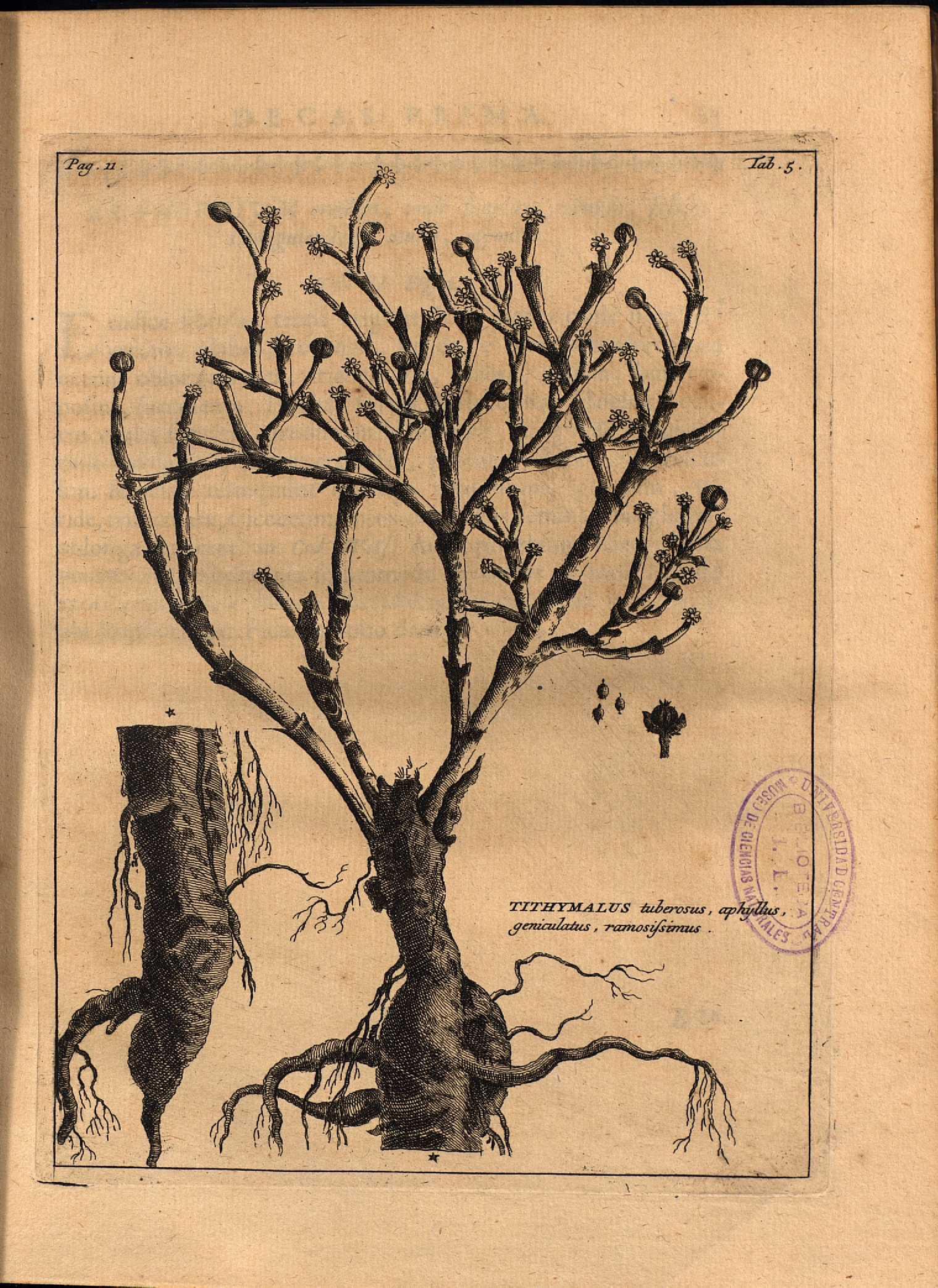 no full size  illustration available (3a)