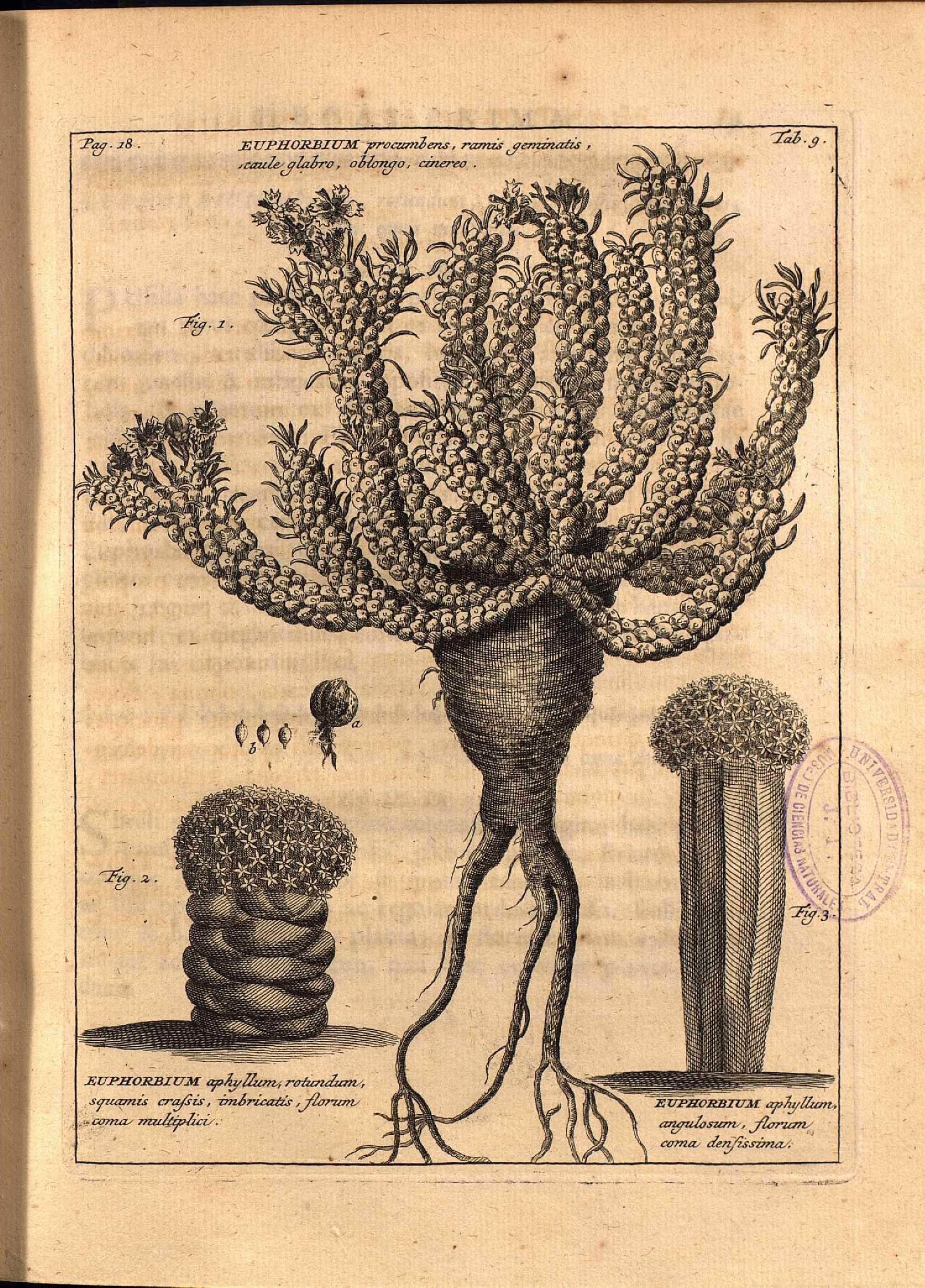 no full size  illustration available (3a)