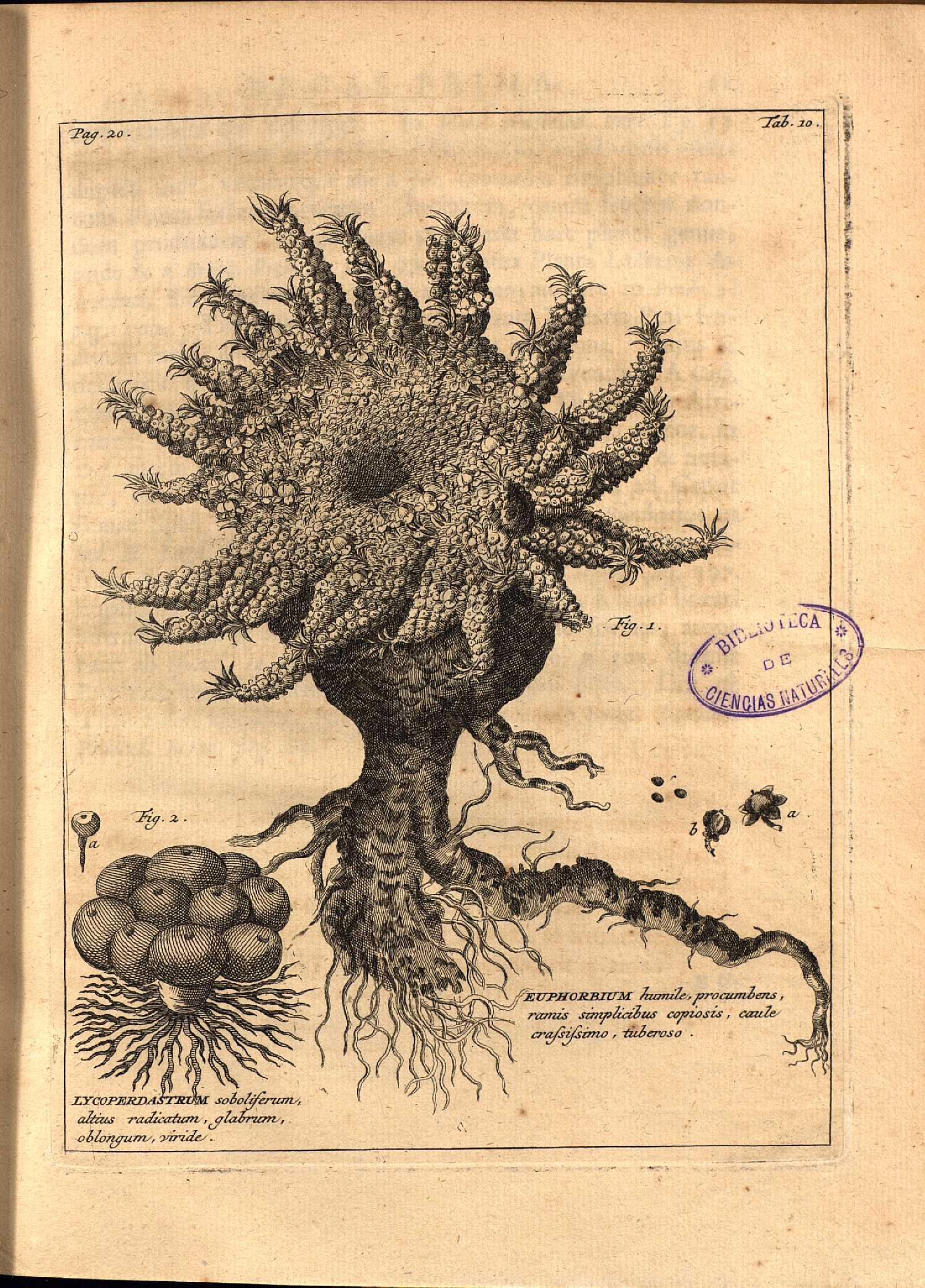 no full size  illustration available (3a)