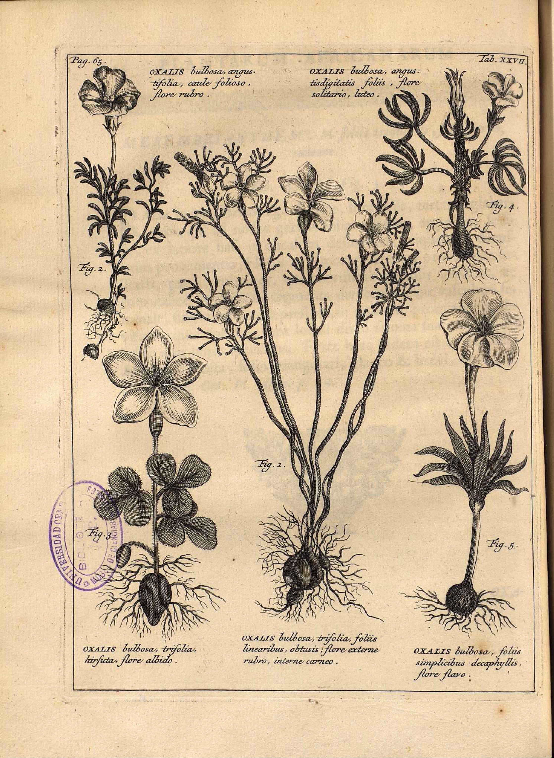 no full size  illustration available (3a)