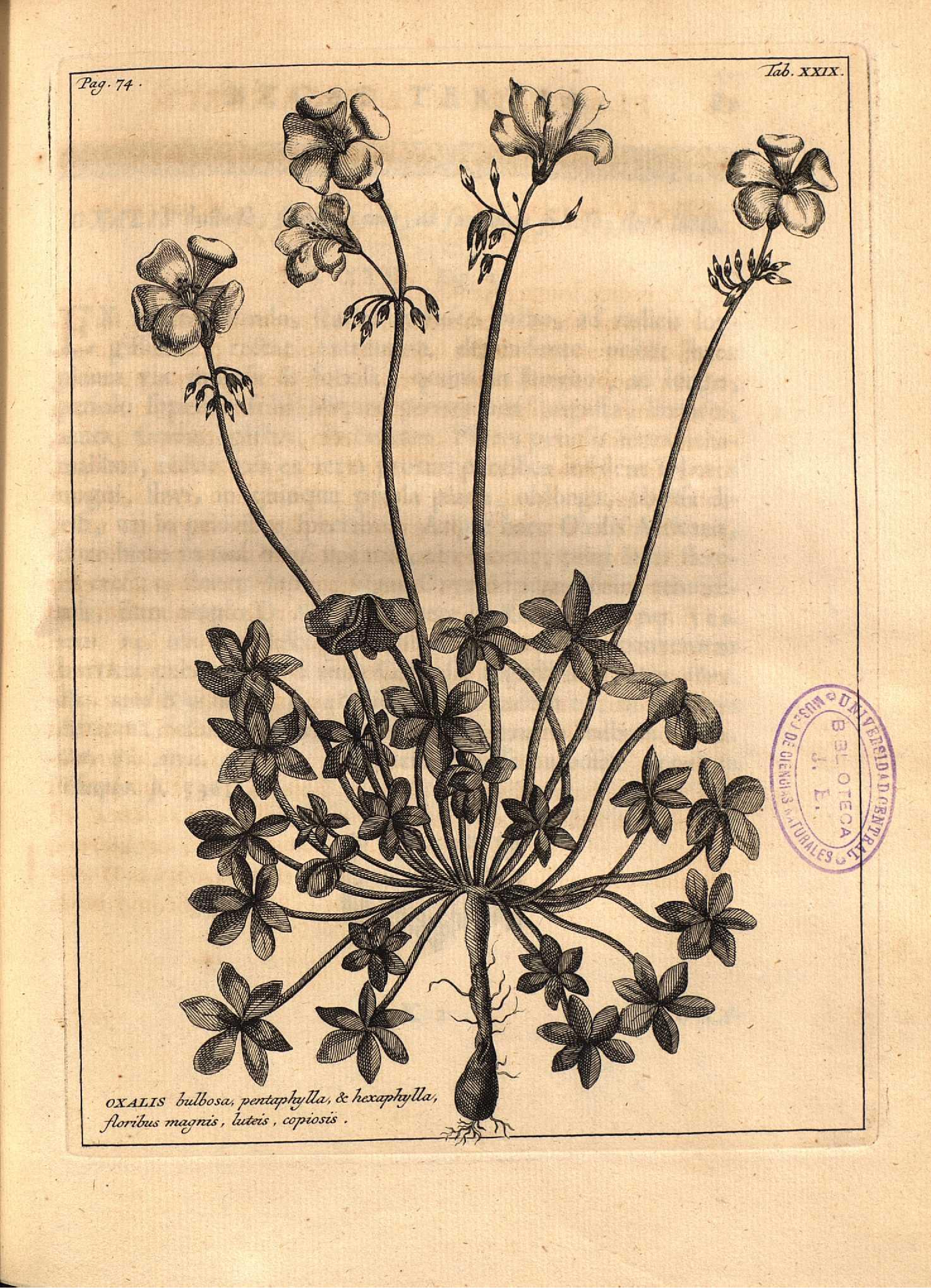 no full size  illustration available (3a)