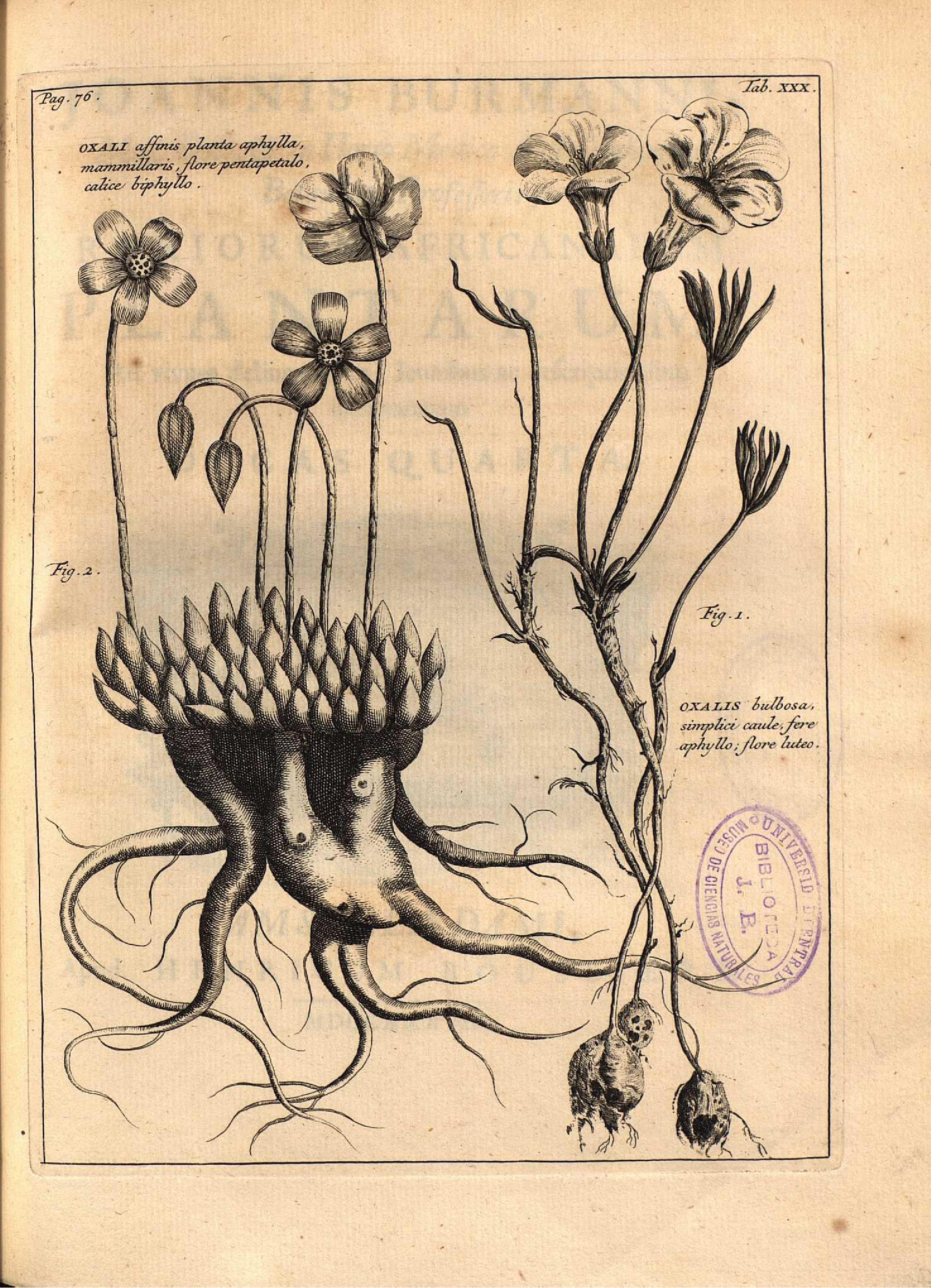 no full size  illustration available (3a)