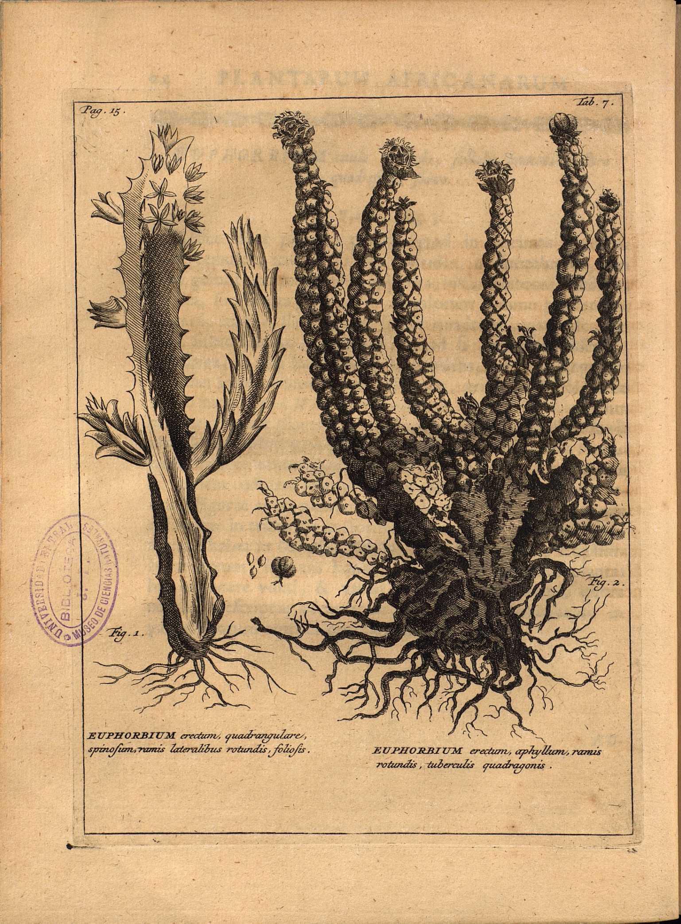 no full size  illustration available (3a)