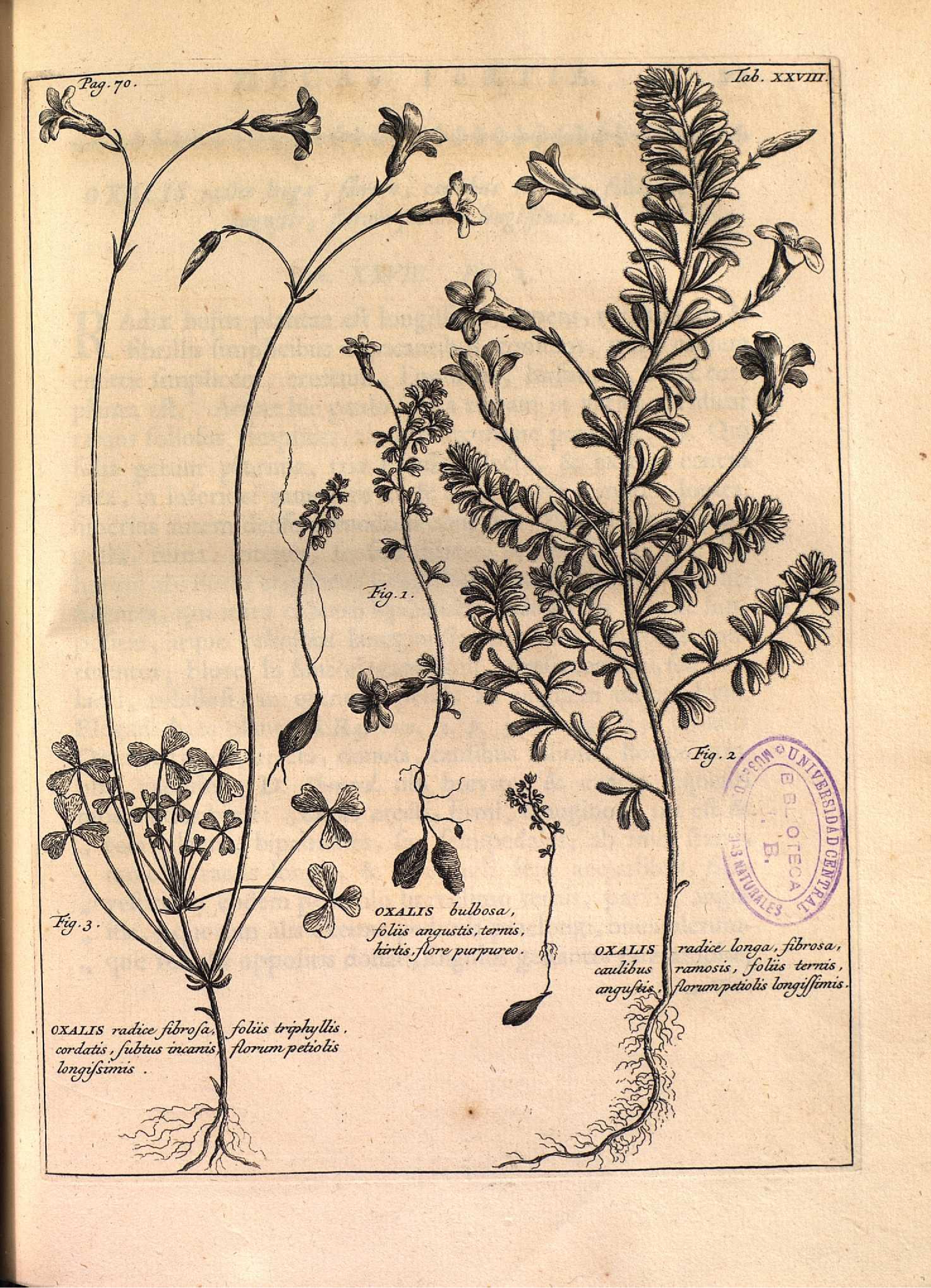 no full size  illustration available (3a)