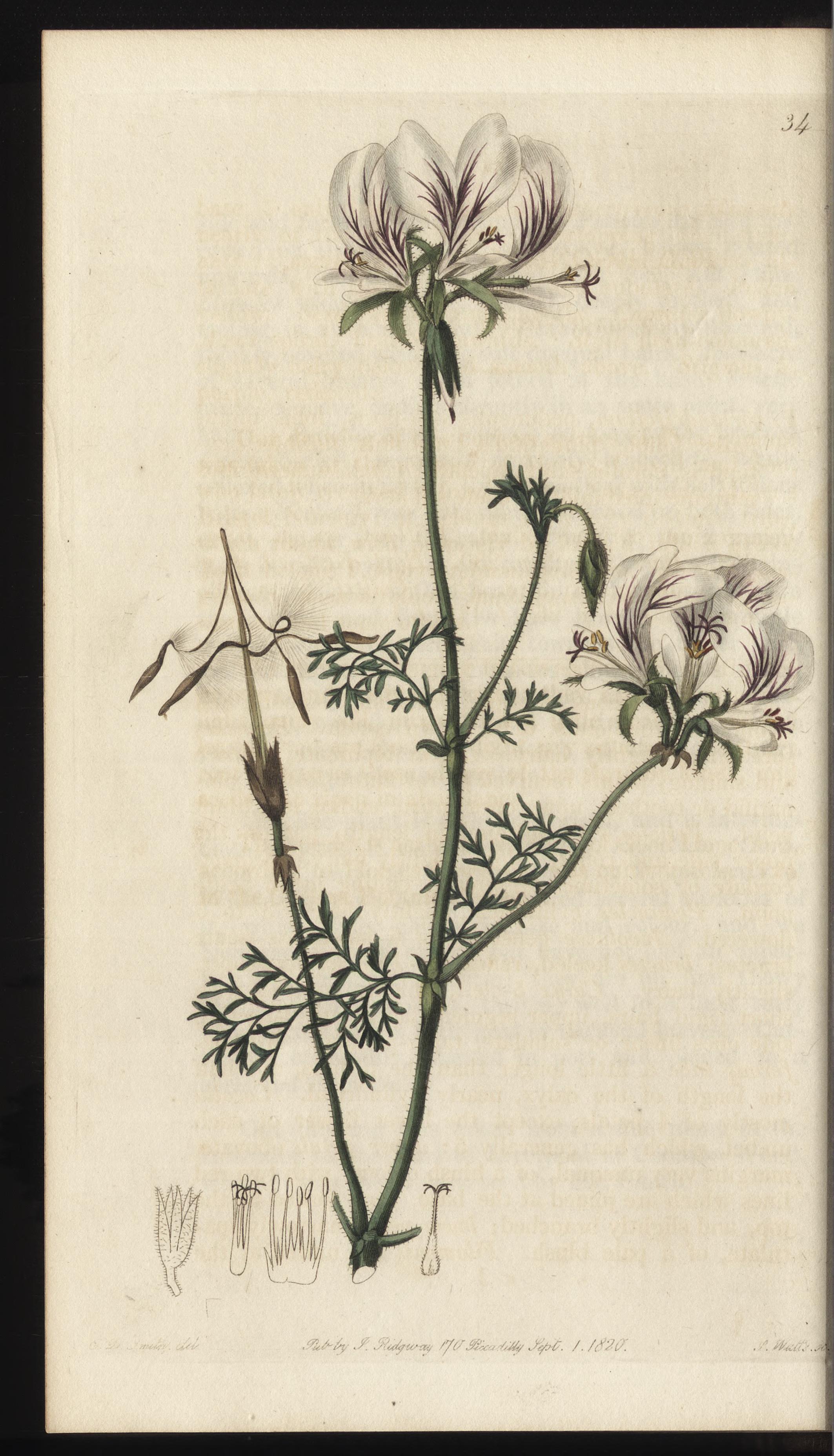 no full size  illustration available (3a)