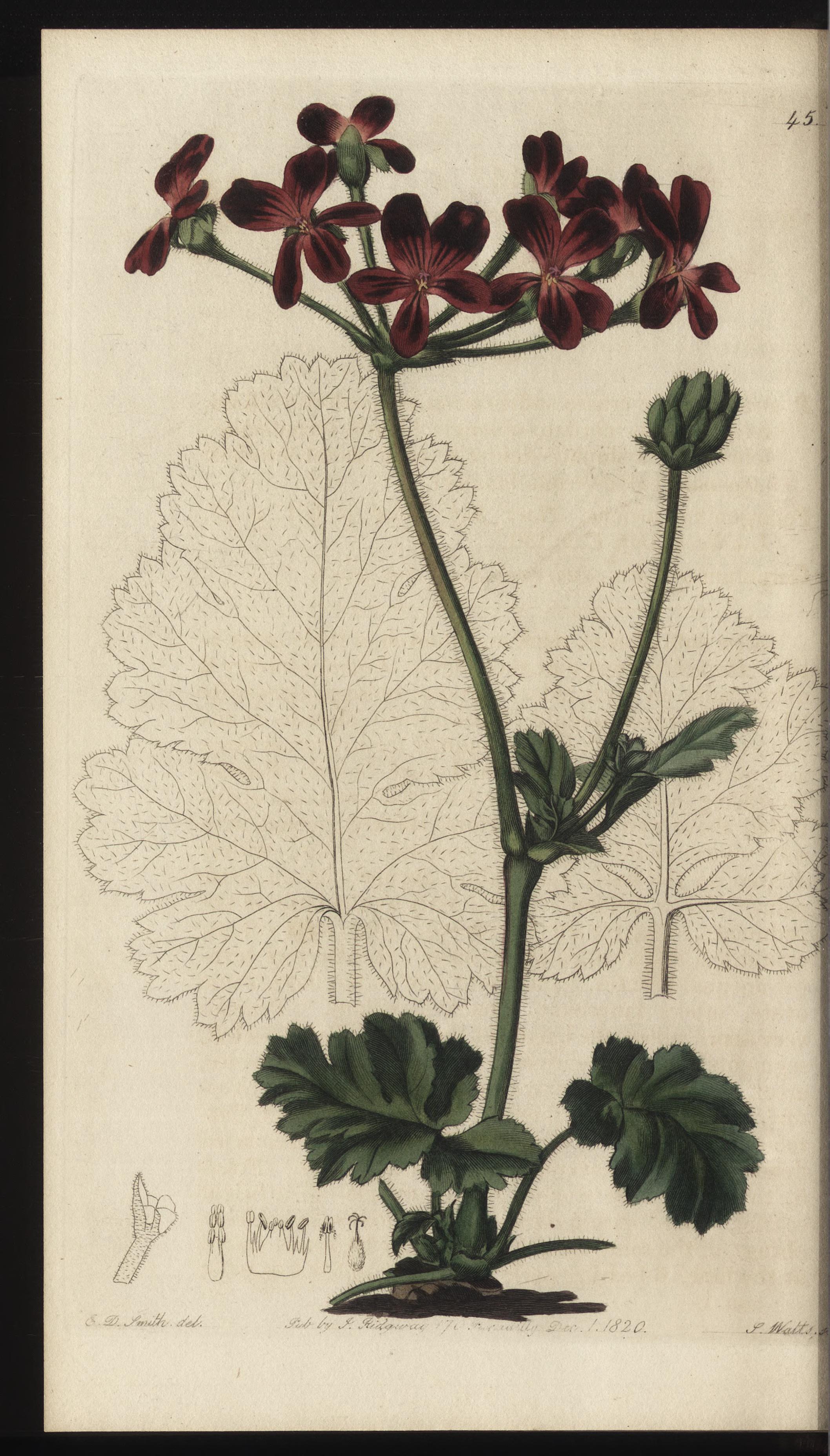 no full size  illustration available (3a)