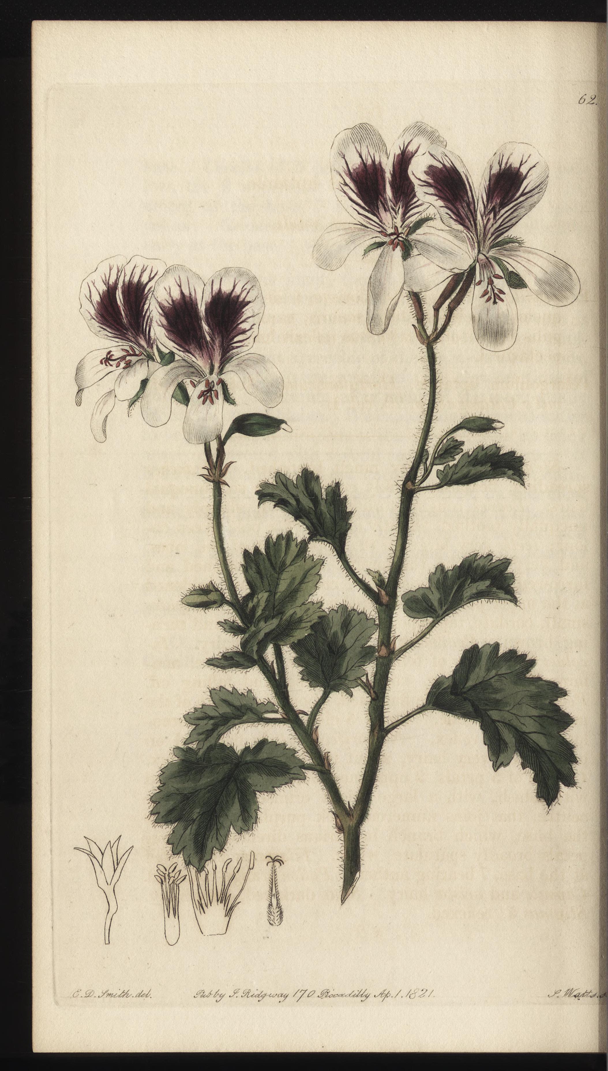 no full size  illustration available (3a)