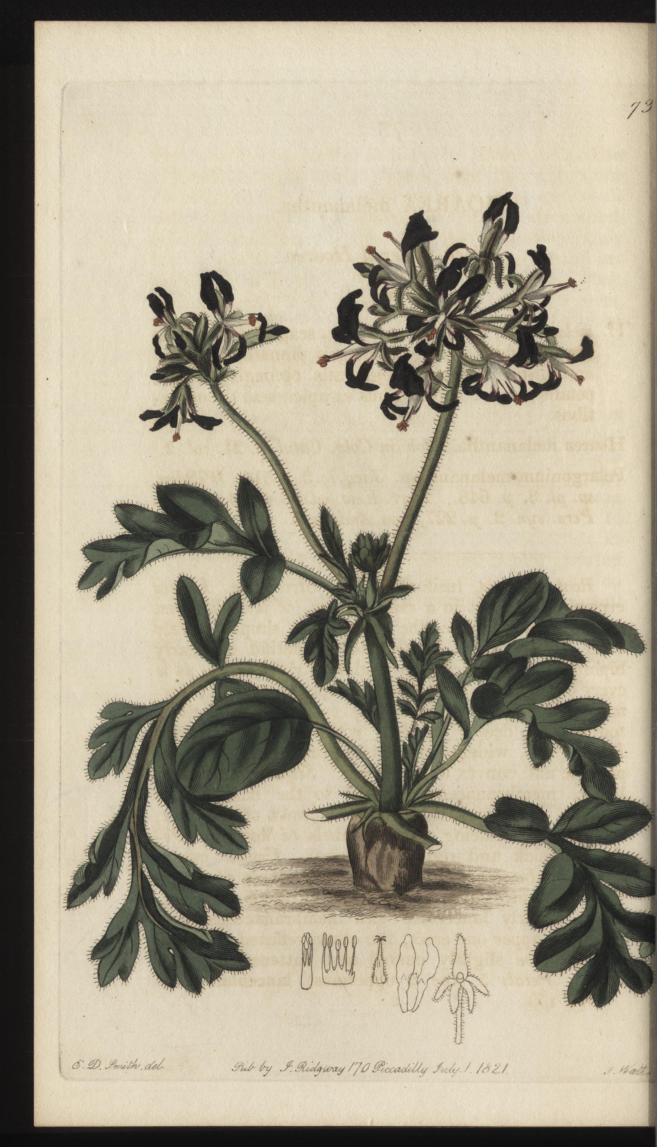 no full size  illustration available (3a)