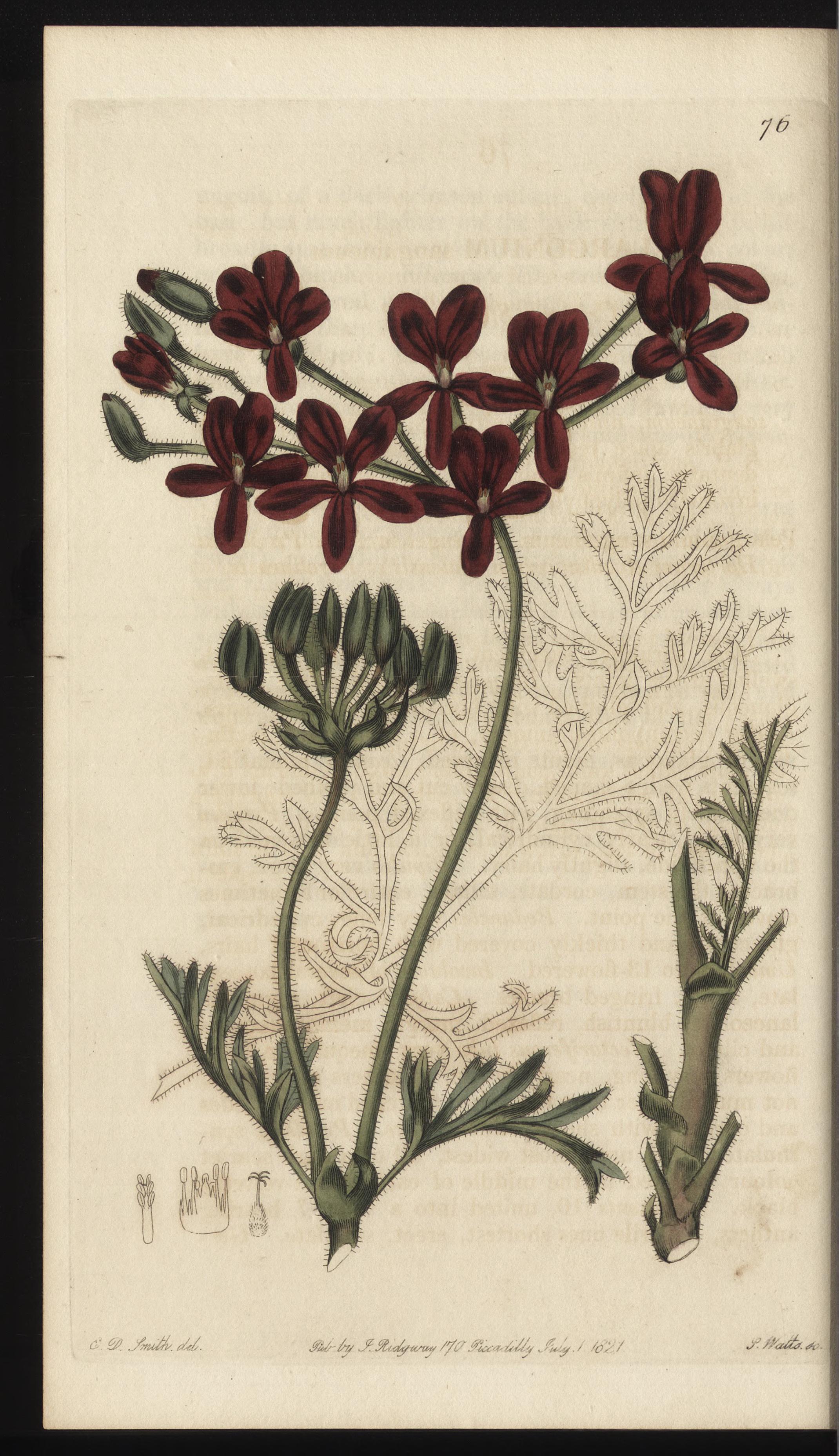 no full size  illustration available (3a)