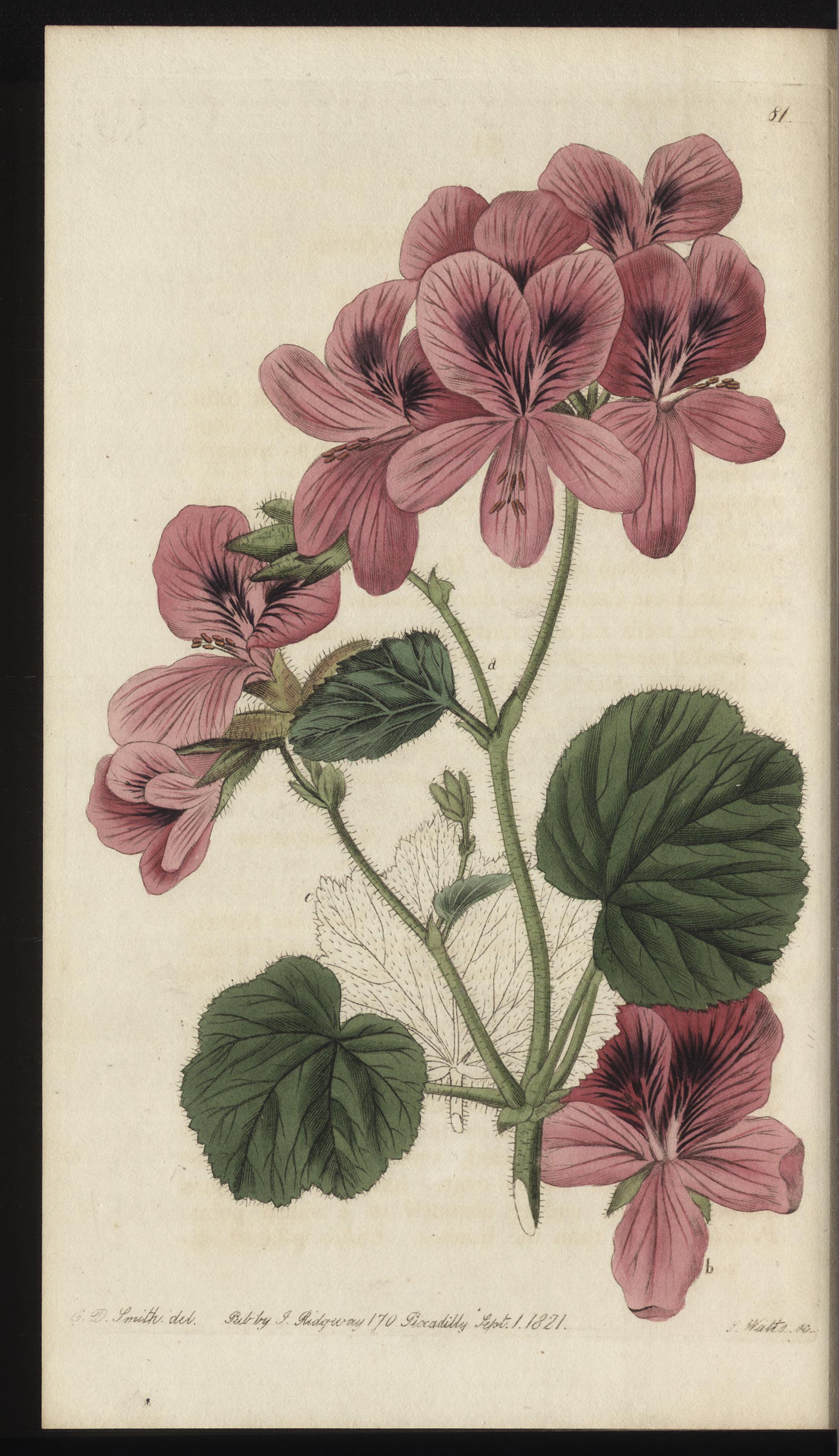 no full size  illustration available (3a)