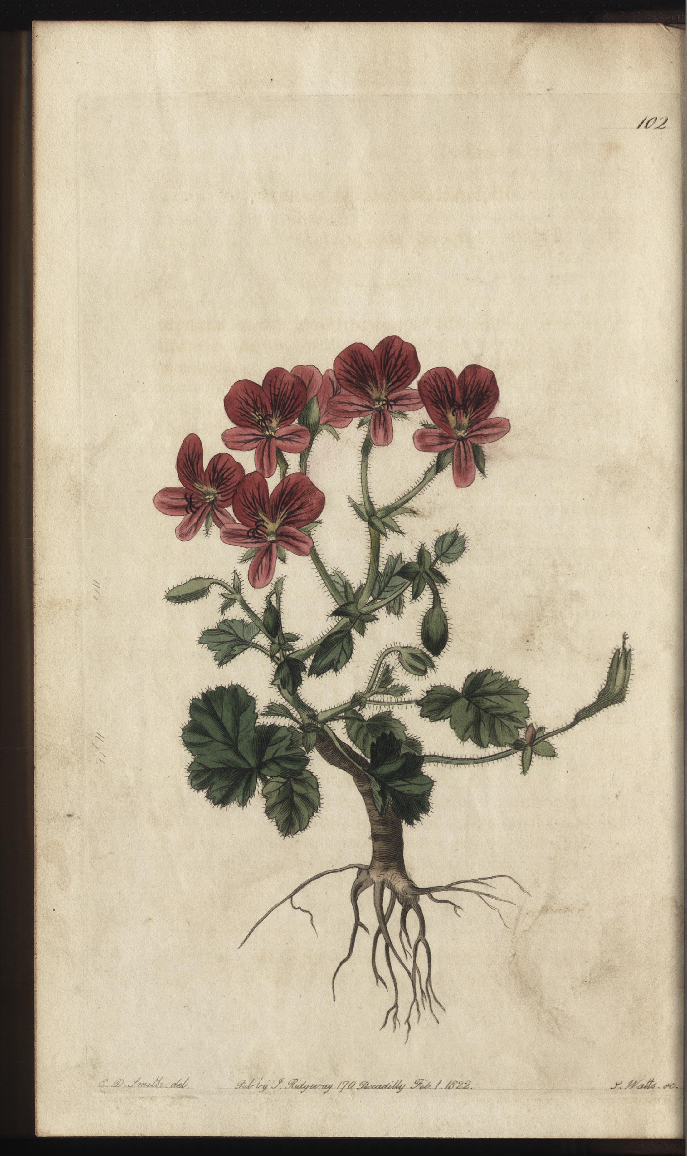 no full size  illustration available (3a)