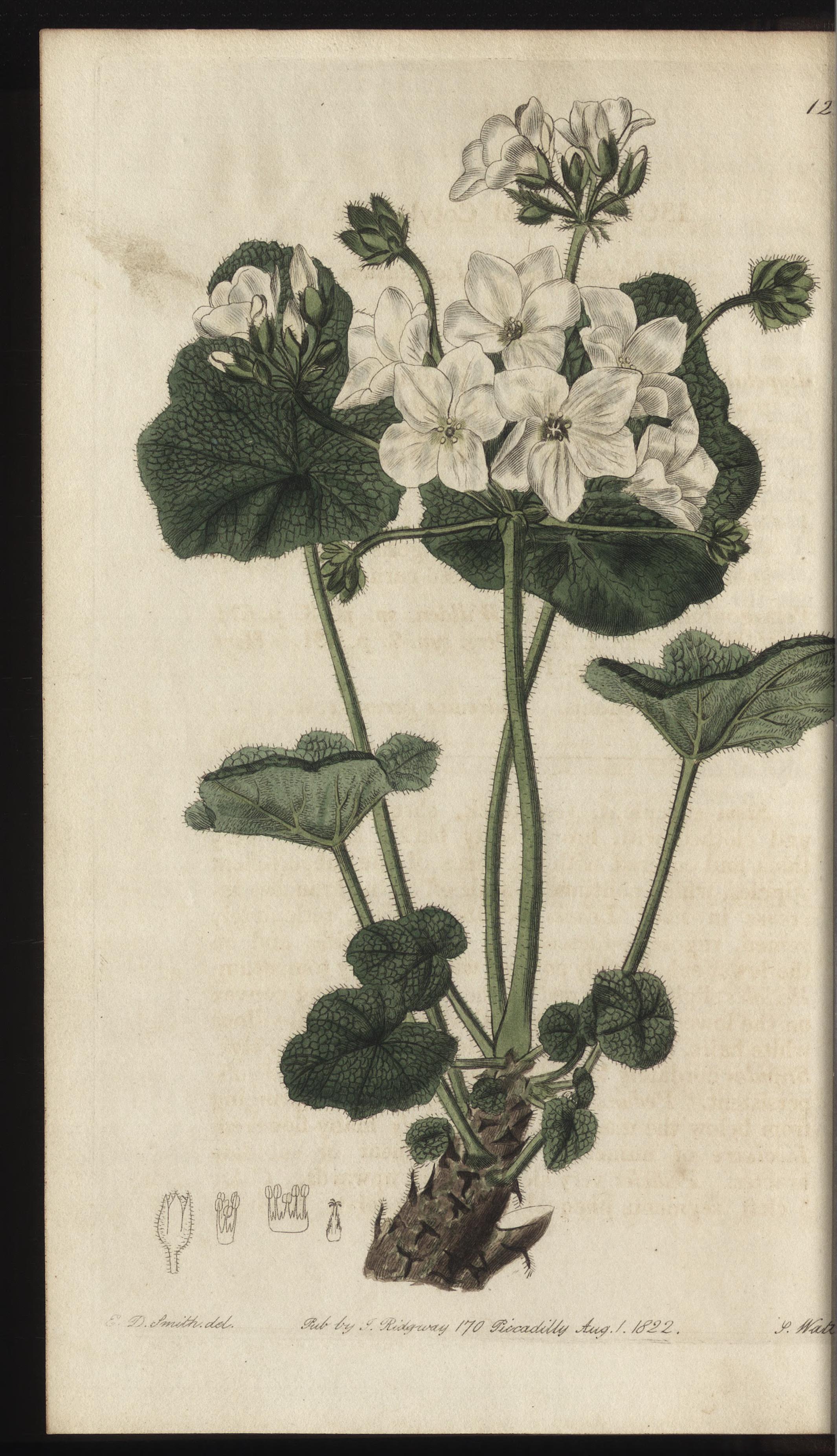 no full size  illustration available (3a)