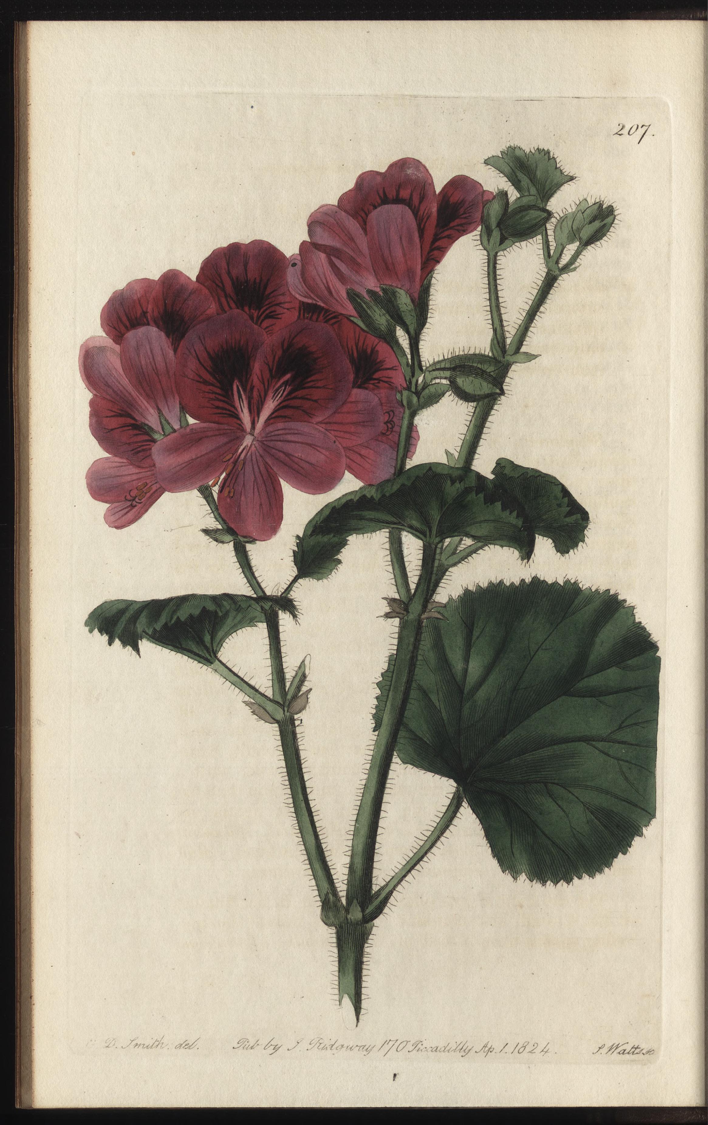 no full size  illustration available (3a)