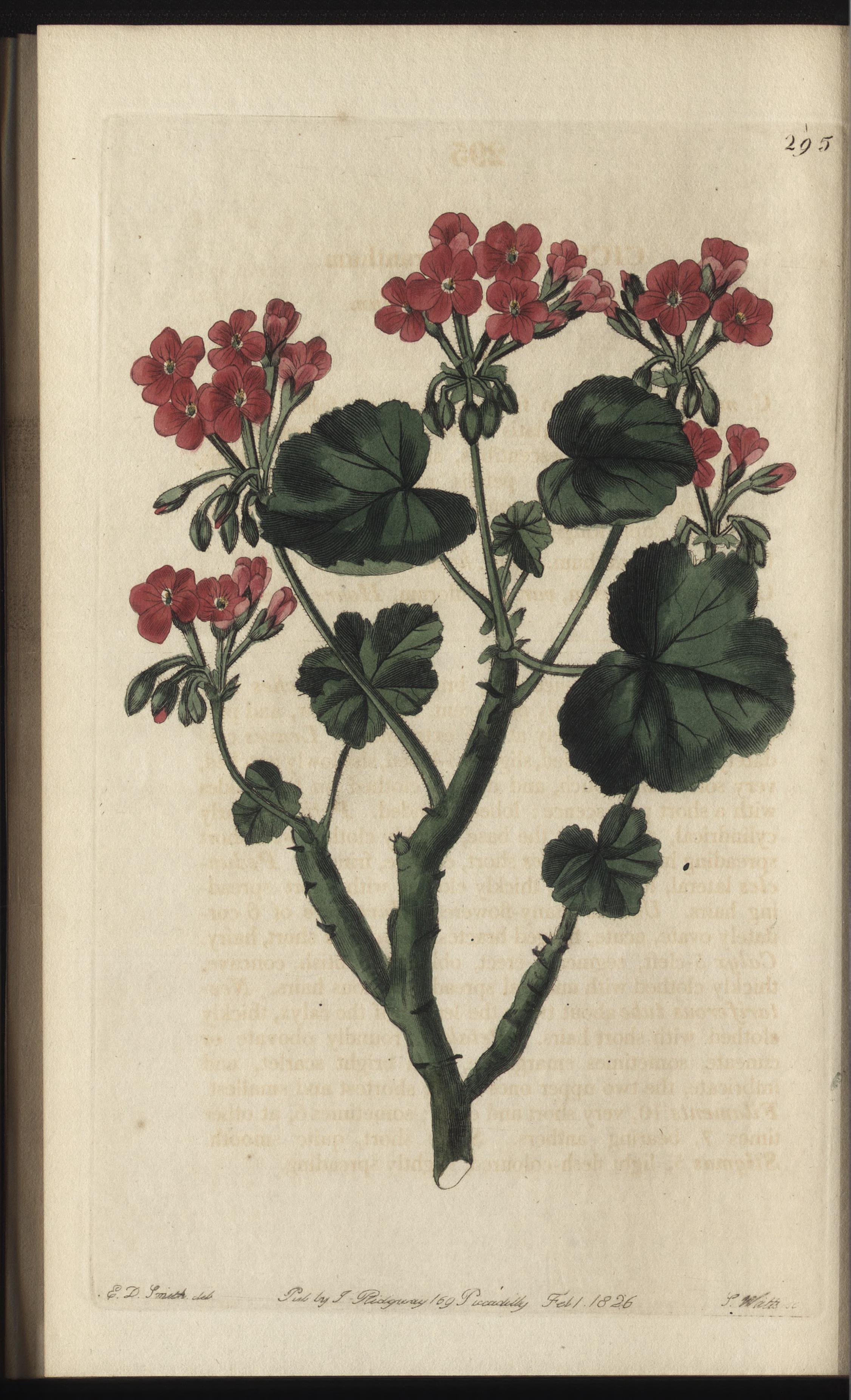 no full size  illustration available (3a)