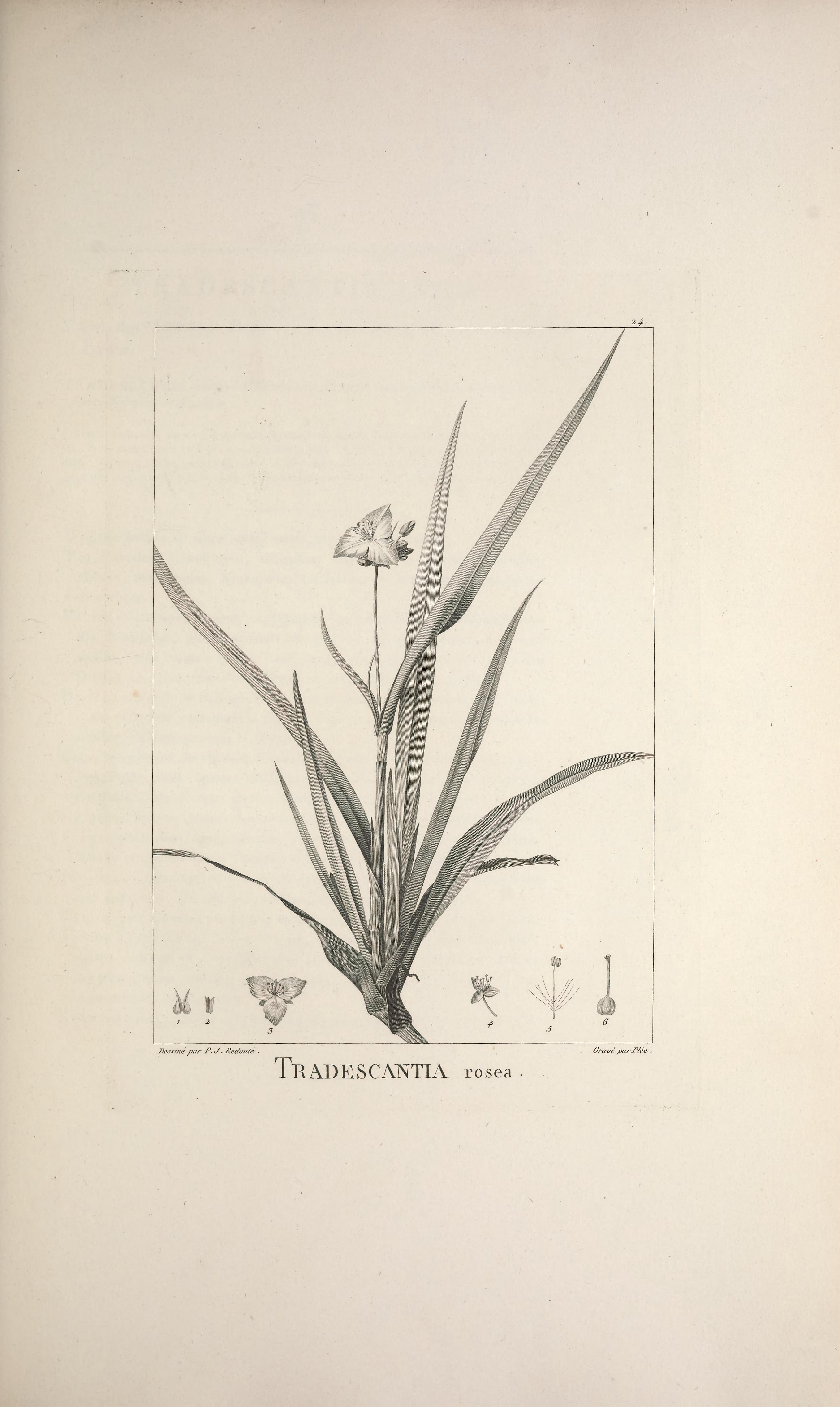 no full size  illustration available (3a)