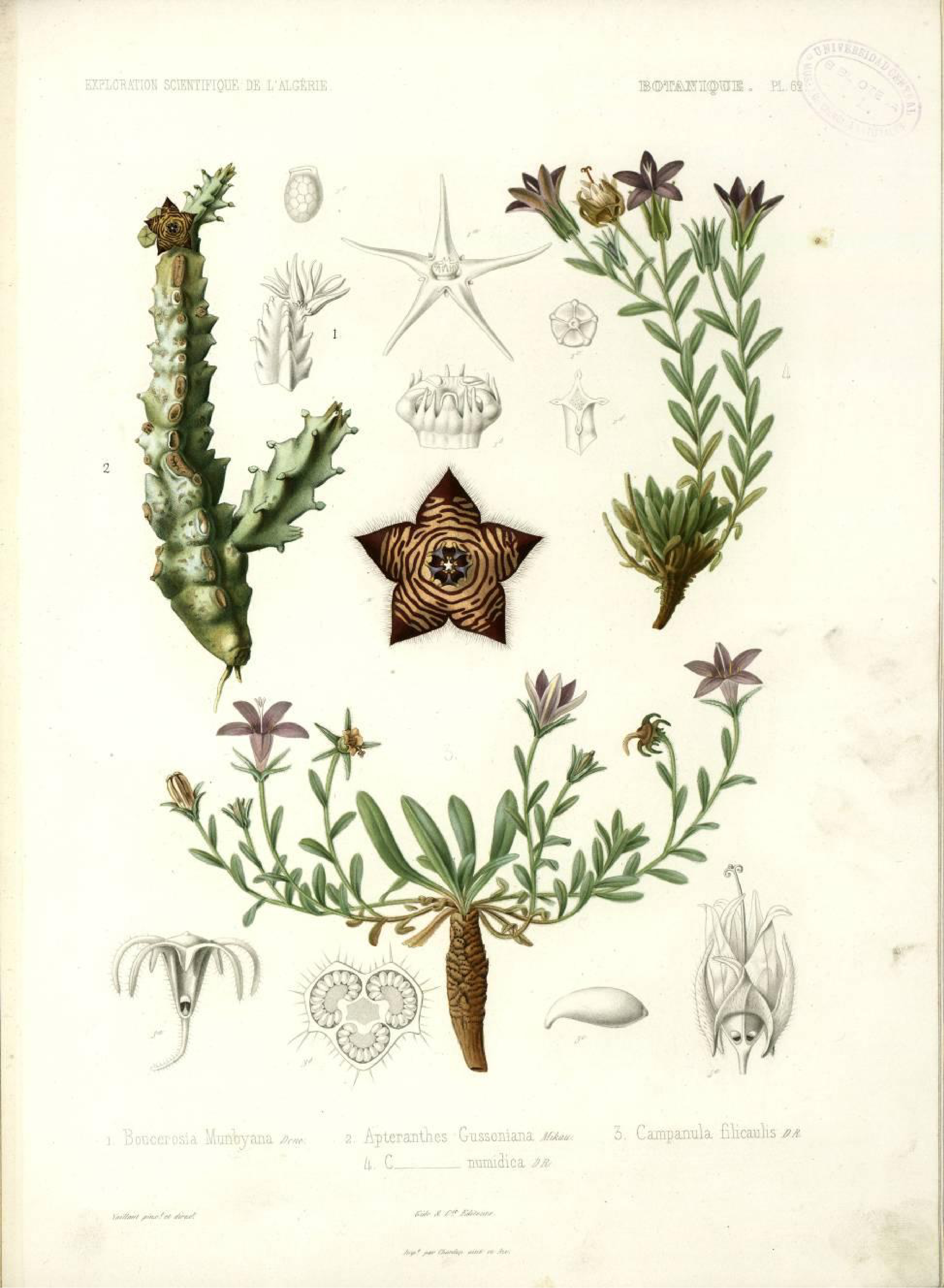 no full size  illustration available (3a)