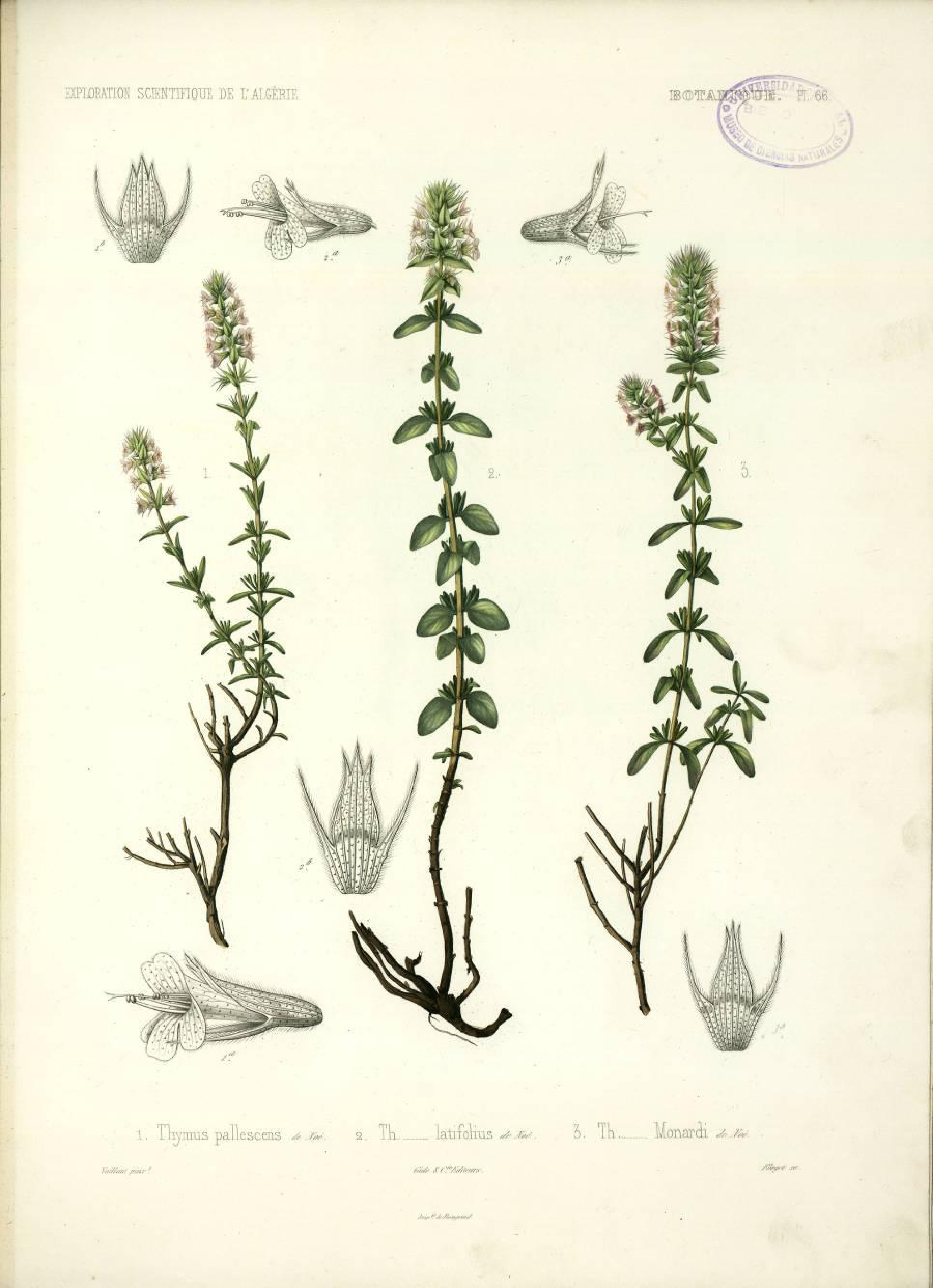 no full size  illustration available (3a)