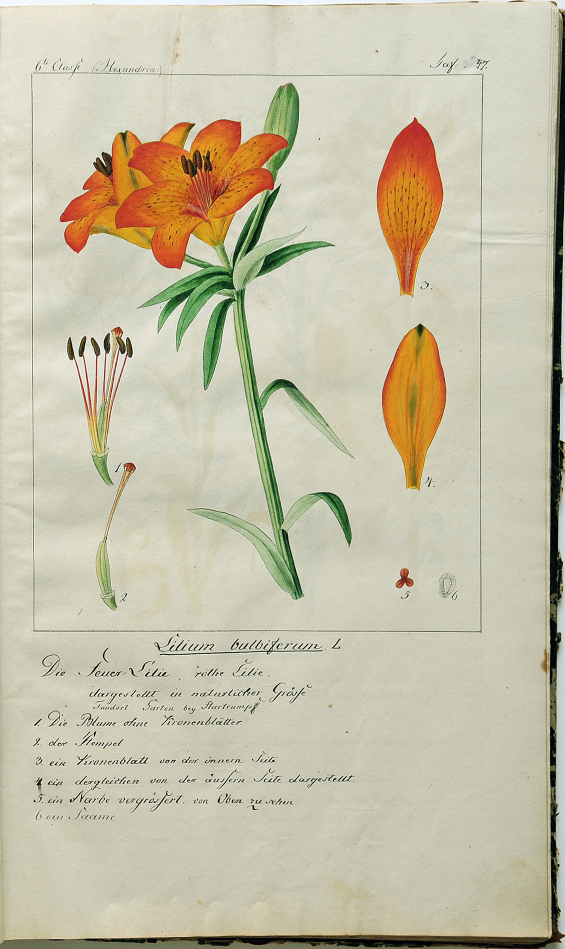 no full size  illustration available (3a)