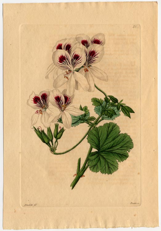 no full size  illustration available (3a)