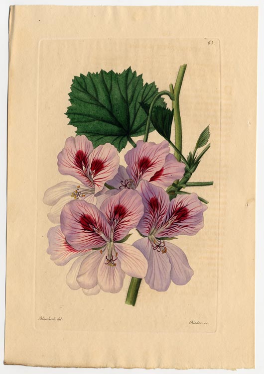 no full size  illustration available (3a)