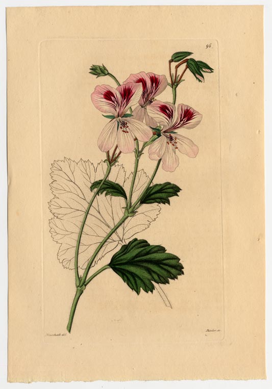 no full size  illustration available (3a)